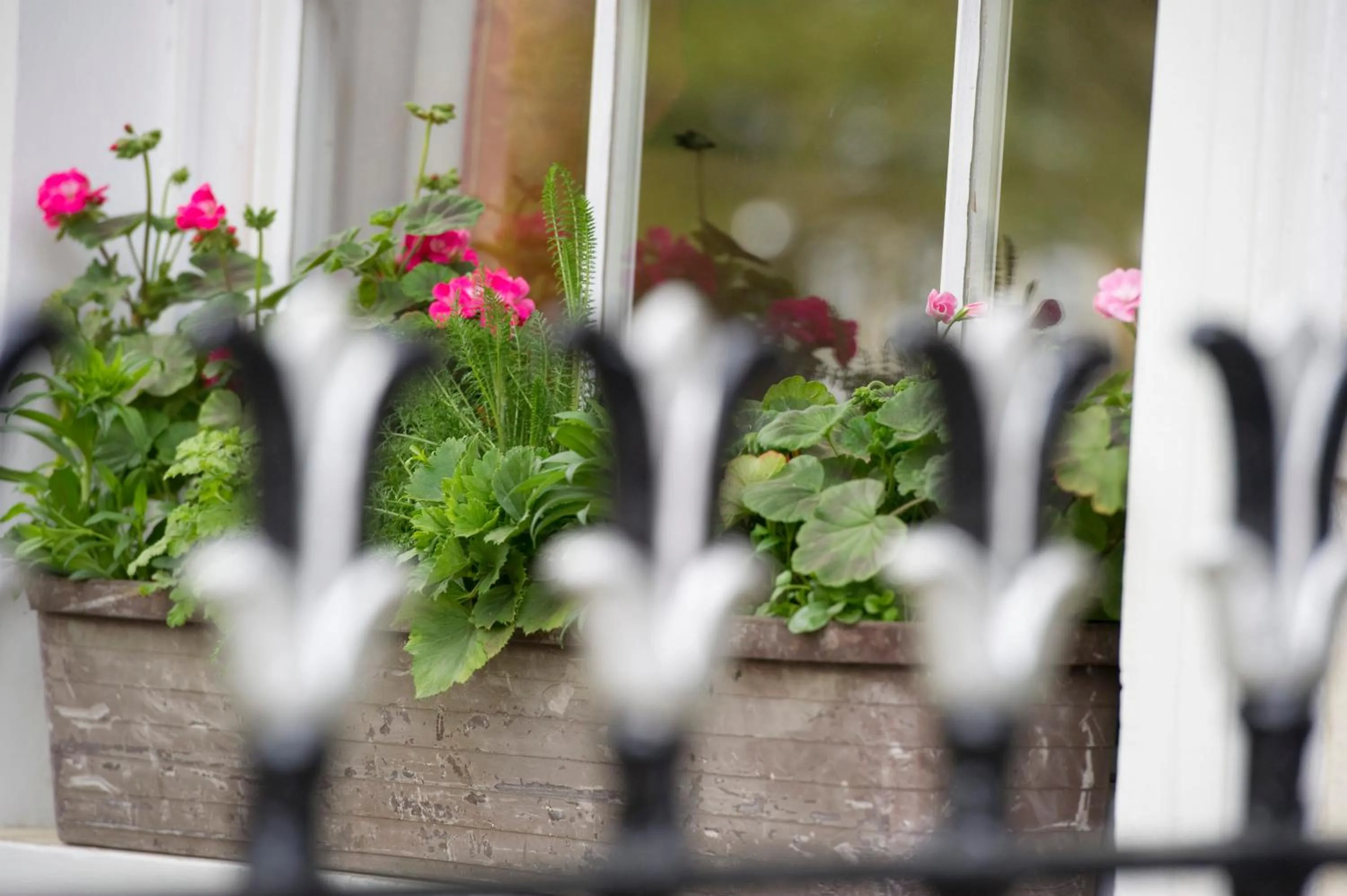 Other in Macdonald Hotel