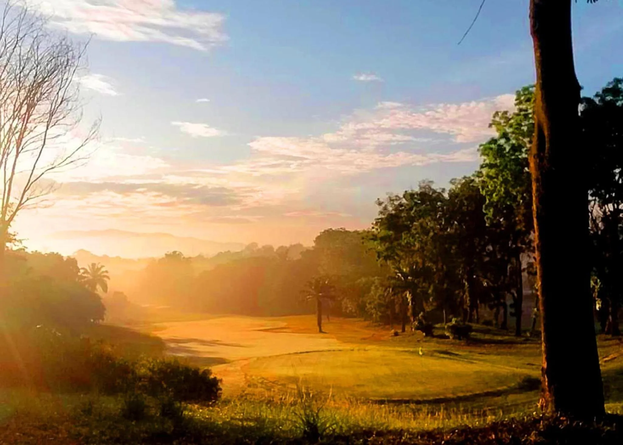 Natural landscape in ARK Serendah Hotel