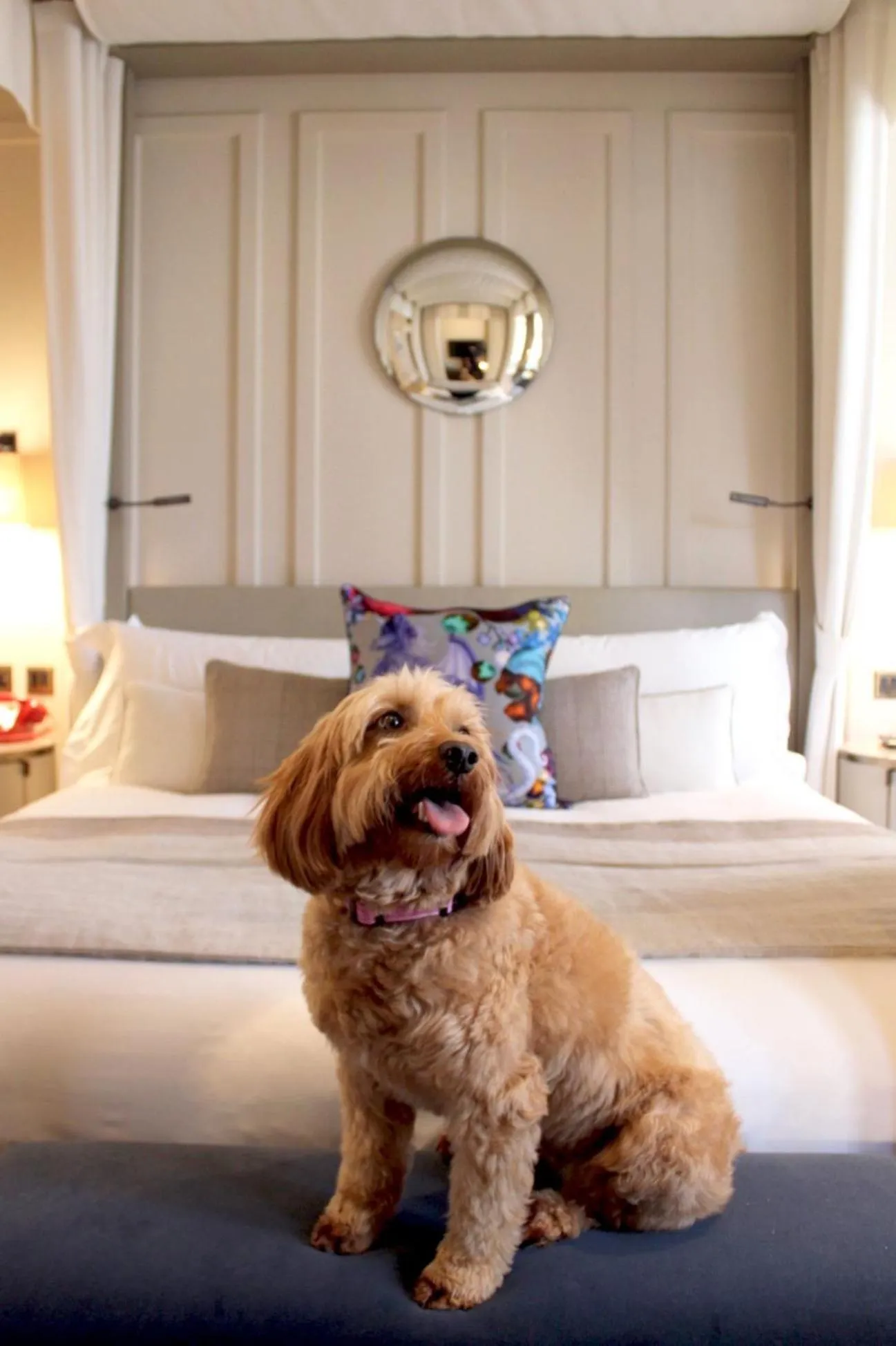 Other in Kimpton Fitzroy London by IHG