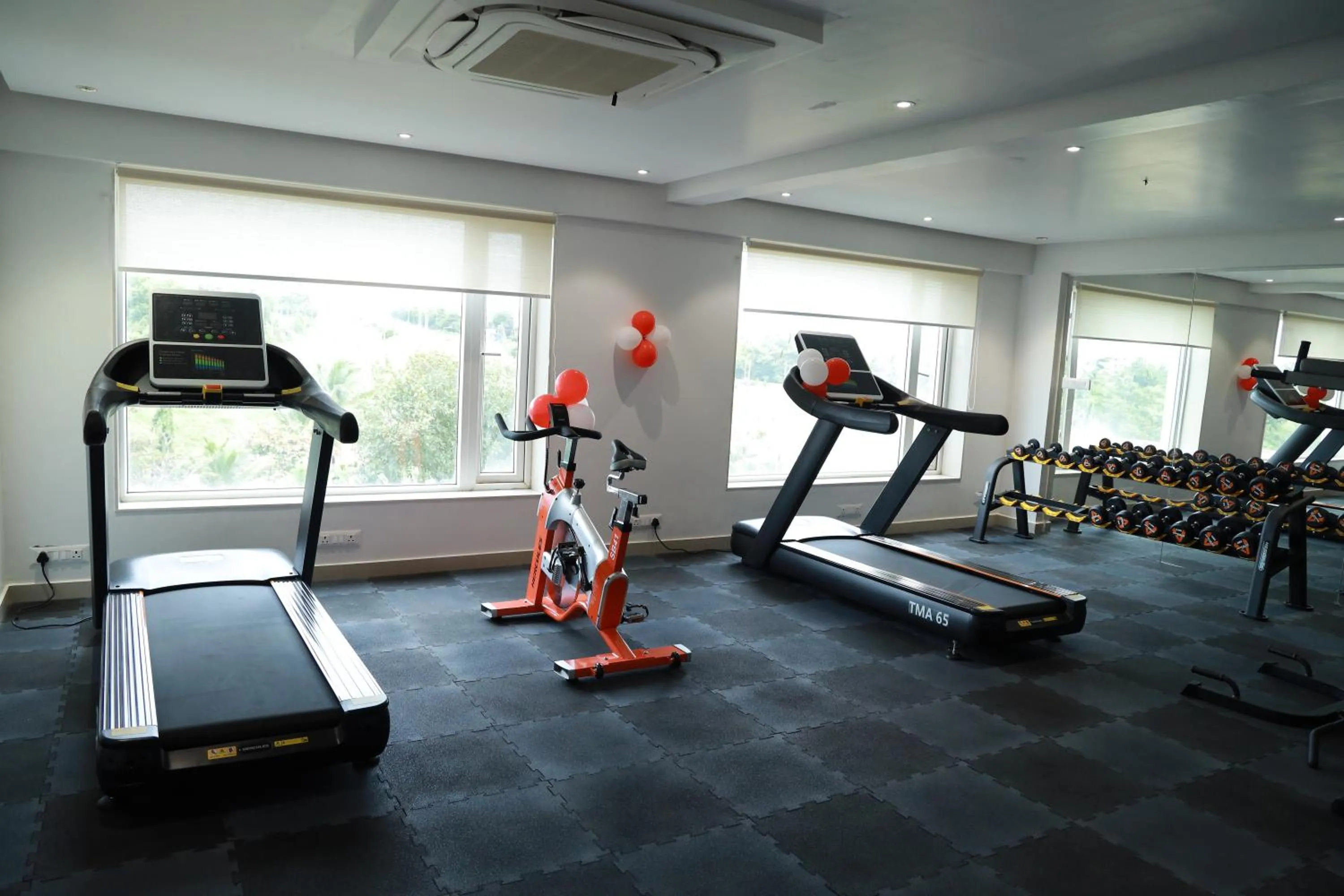 Mastiff Grand Dharwad