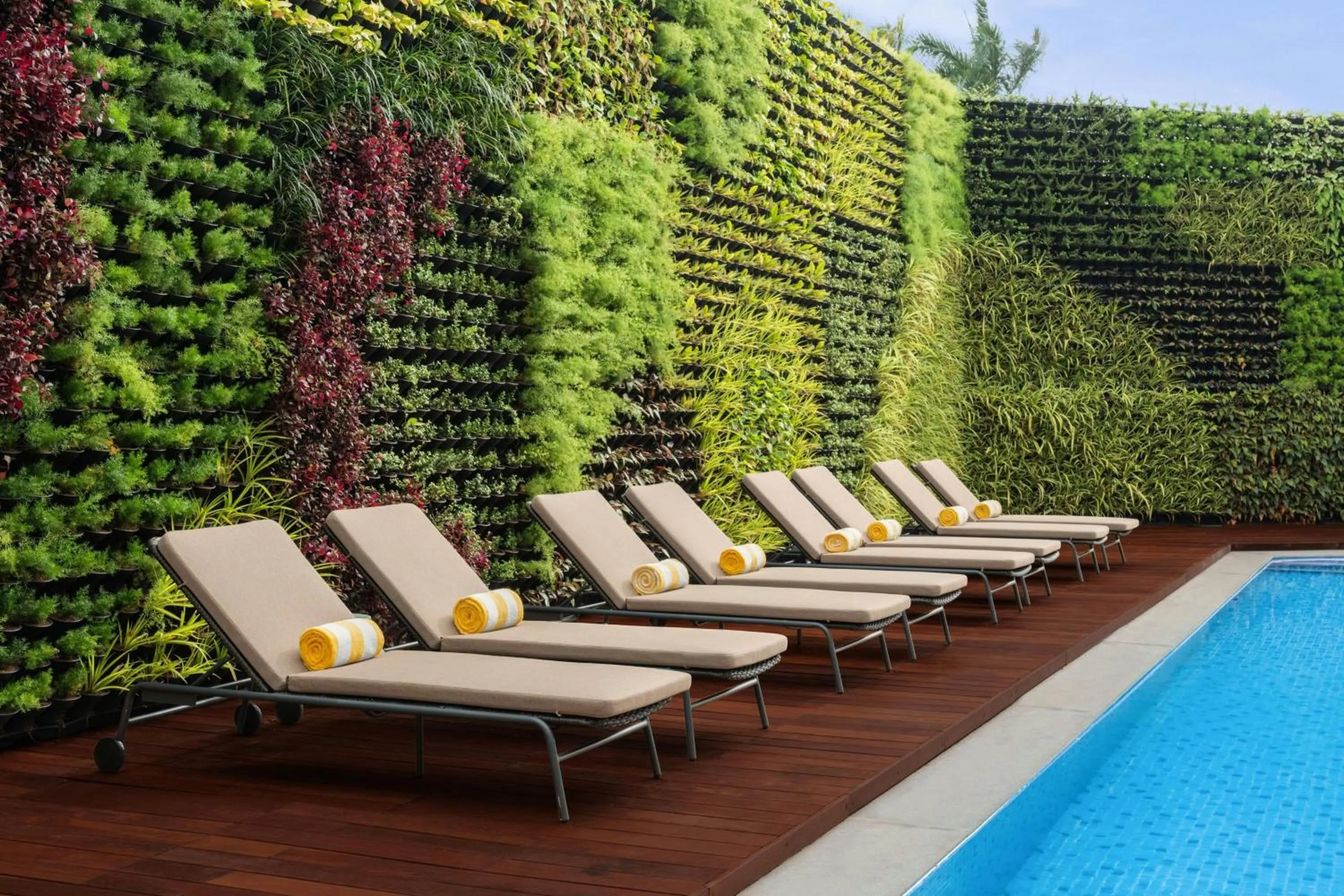 Swimming pool in Courtyard by Marriott Goa Colva