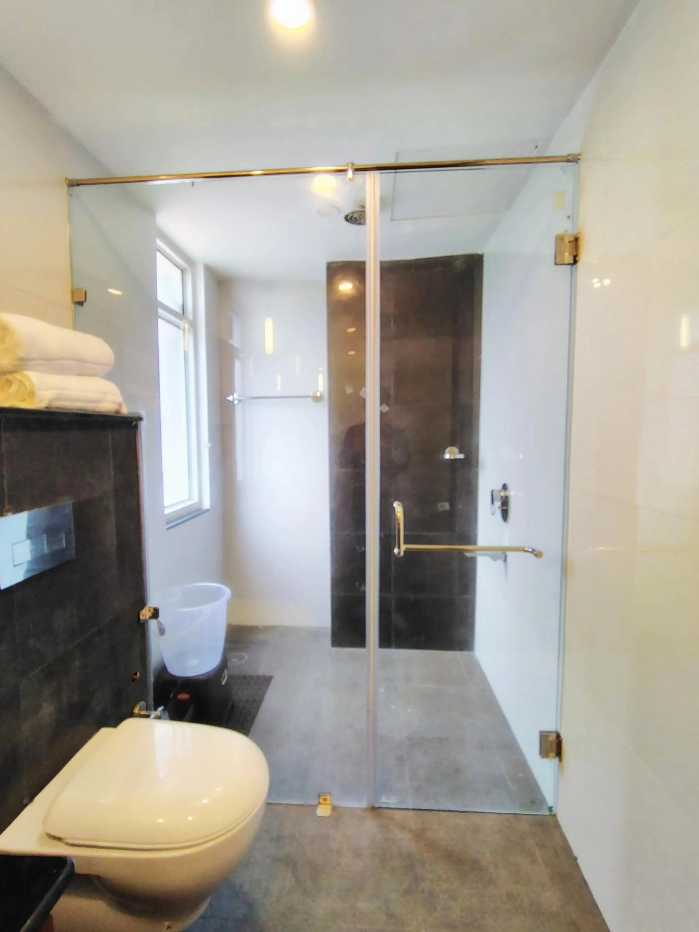 Toilet in Pihu's Nest Kasauli