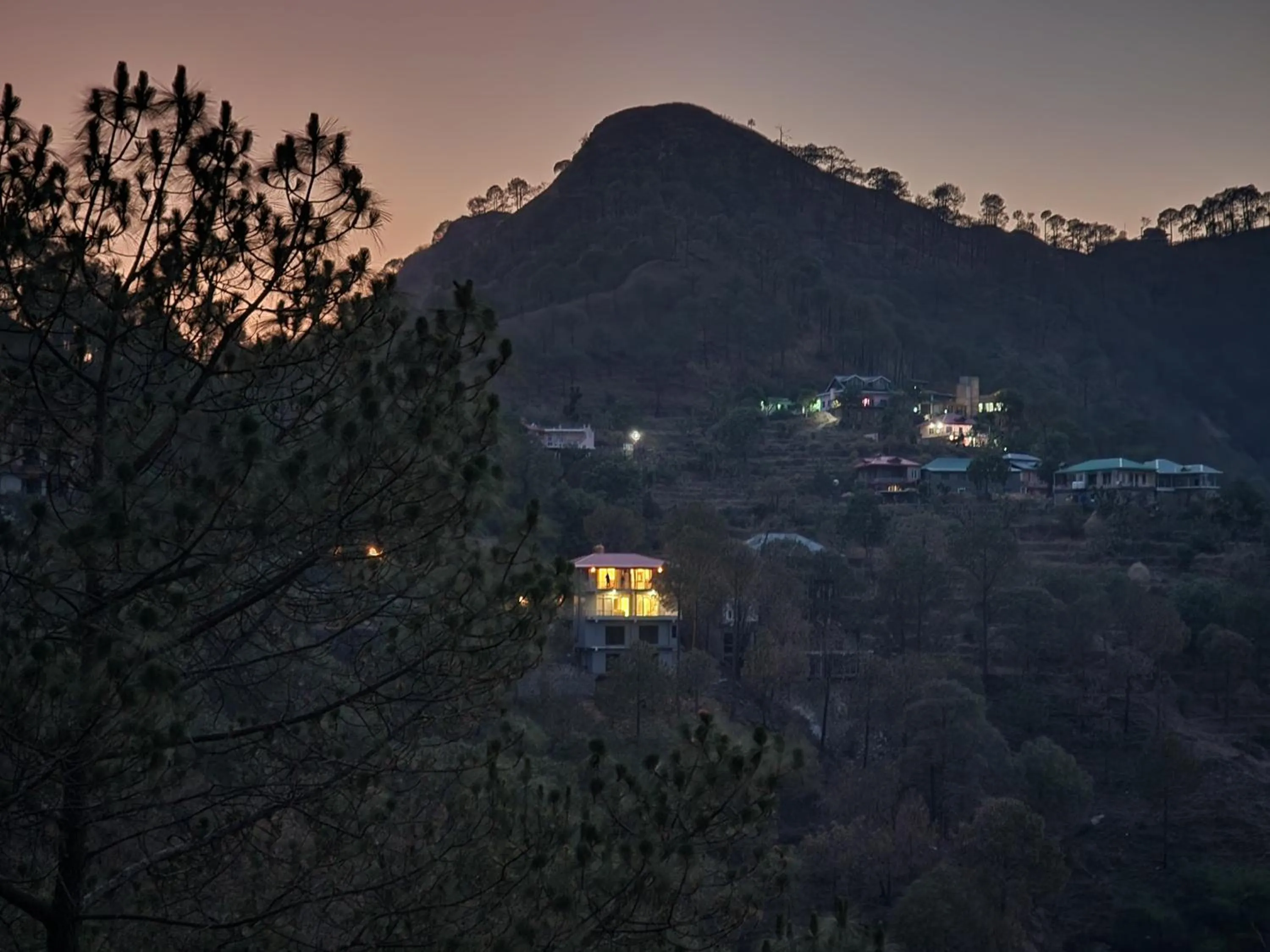 Natural landscape in Pihu's Nest Kasauli