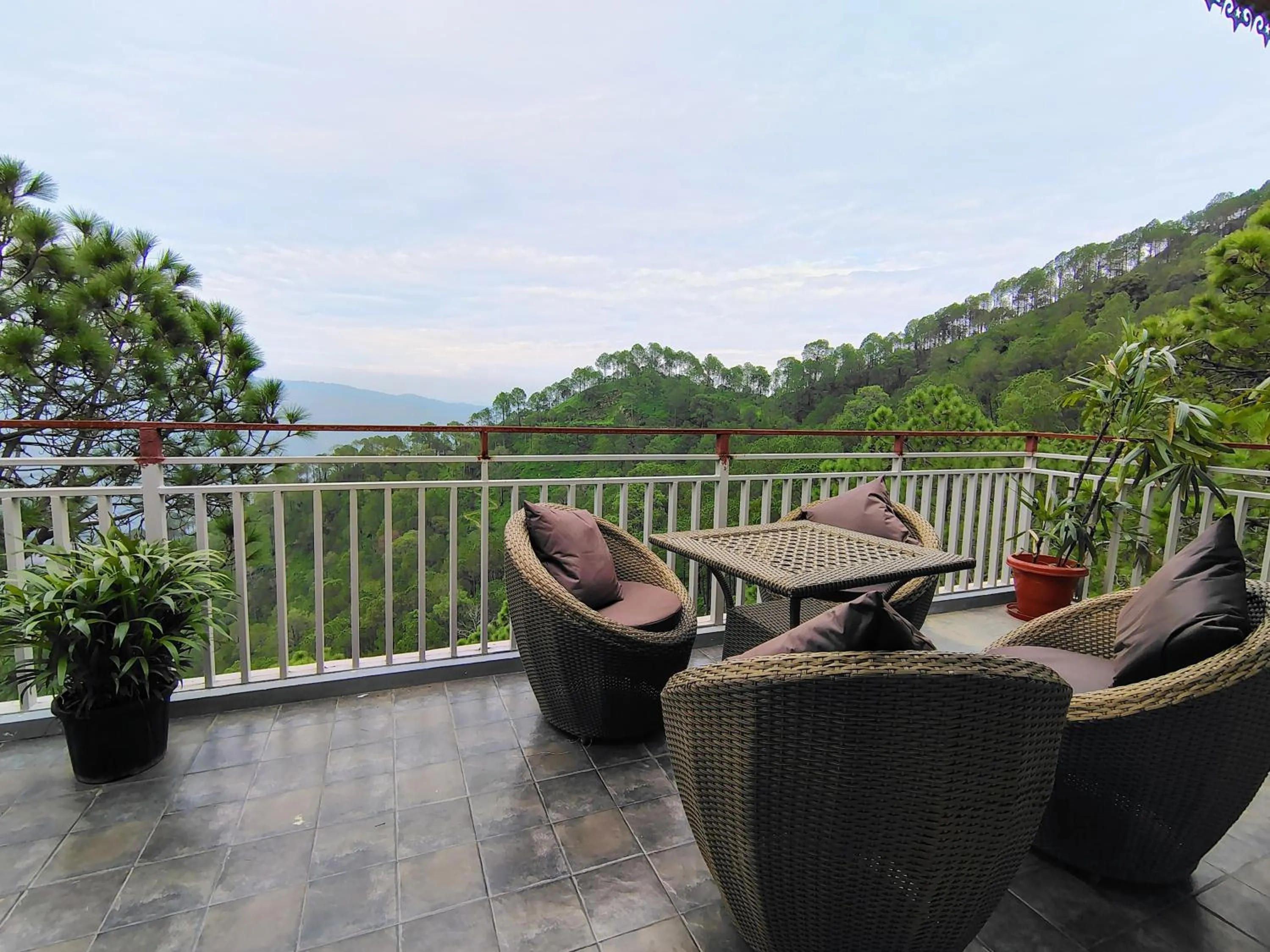 View (from property/room) in Pihu's Nest Kasauli