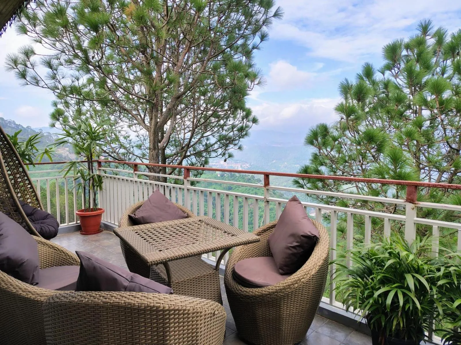 Natural landscape in Pihu's Nest Kasauli