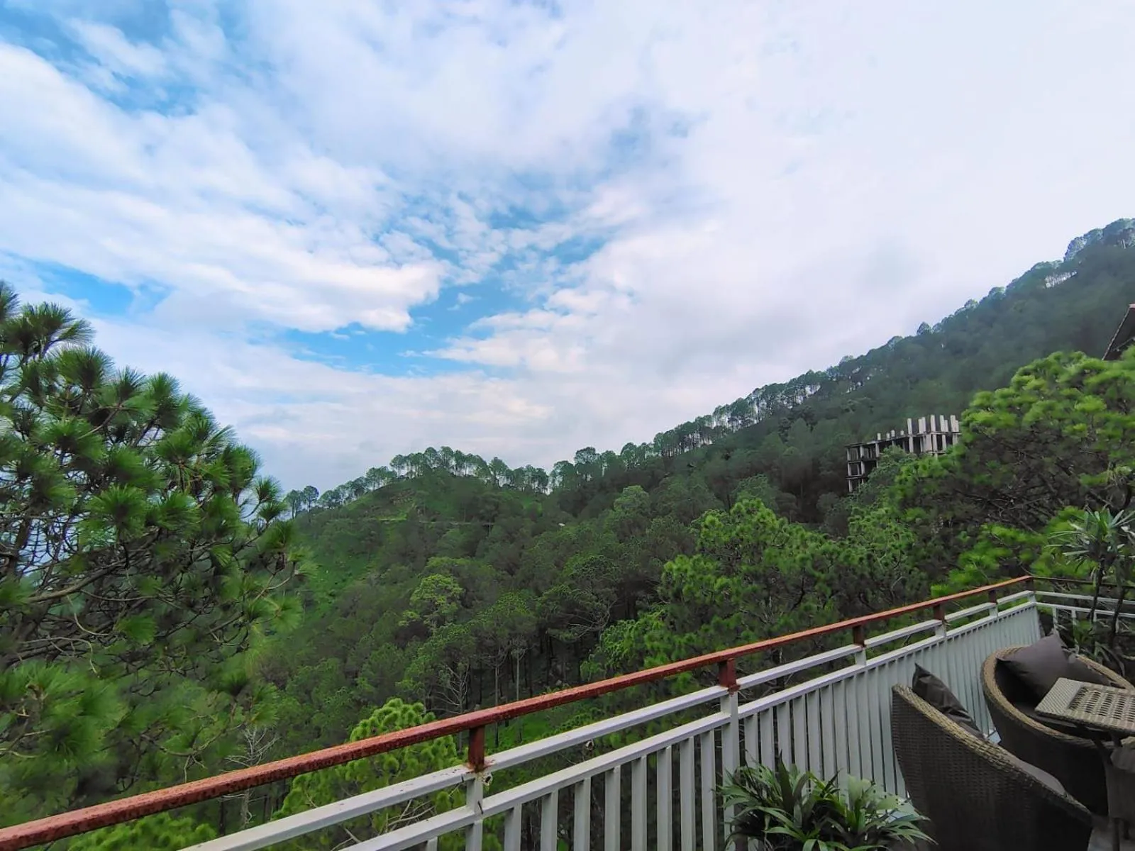 Mountain view in Pihu's Nest Kasauli