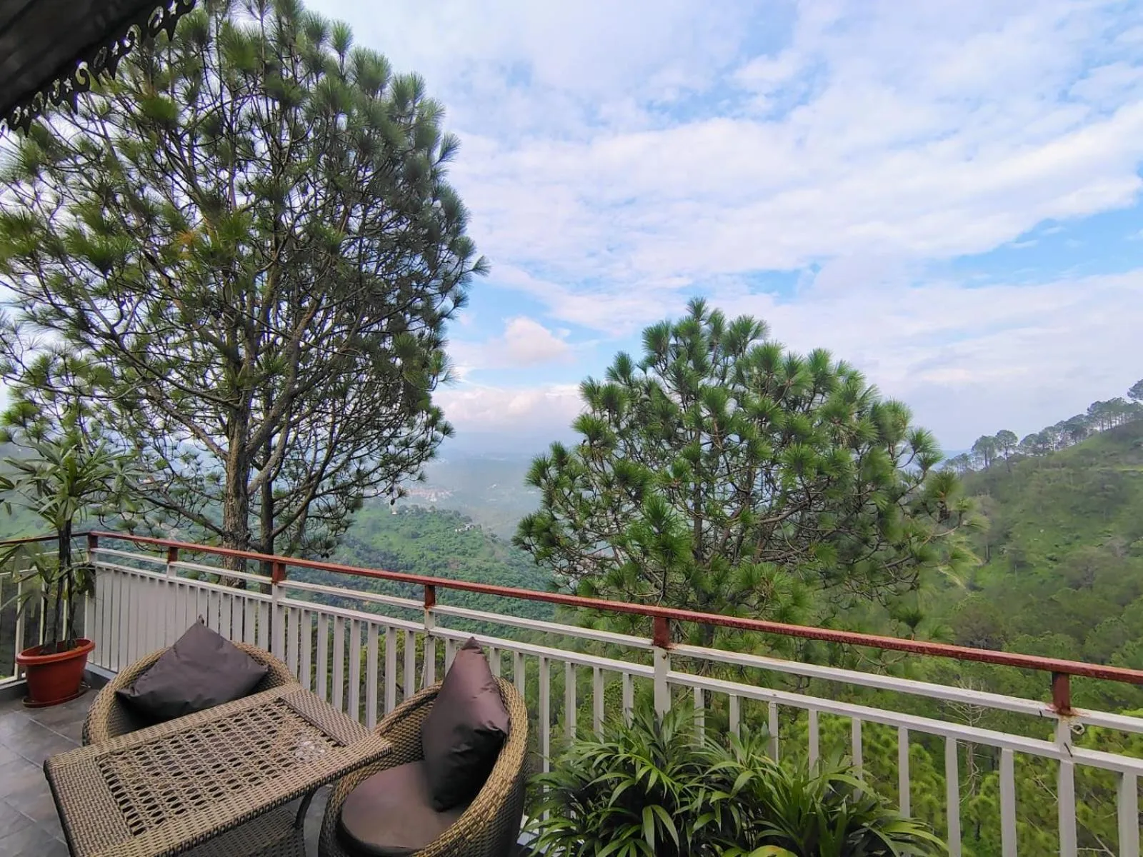 View (from property/room) in Pihu's Nest Kasauli