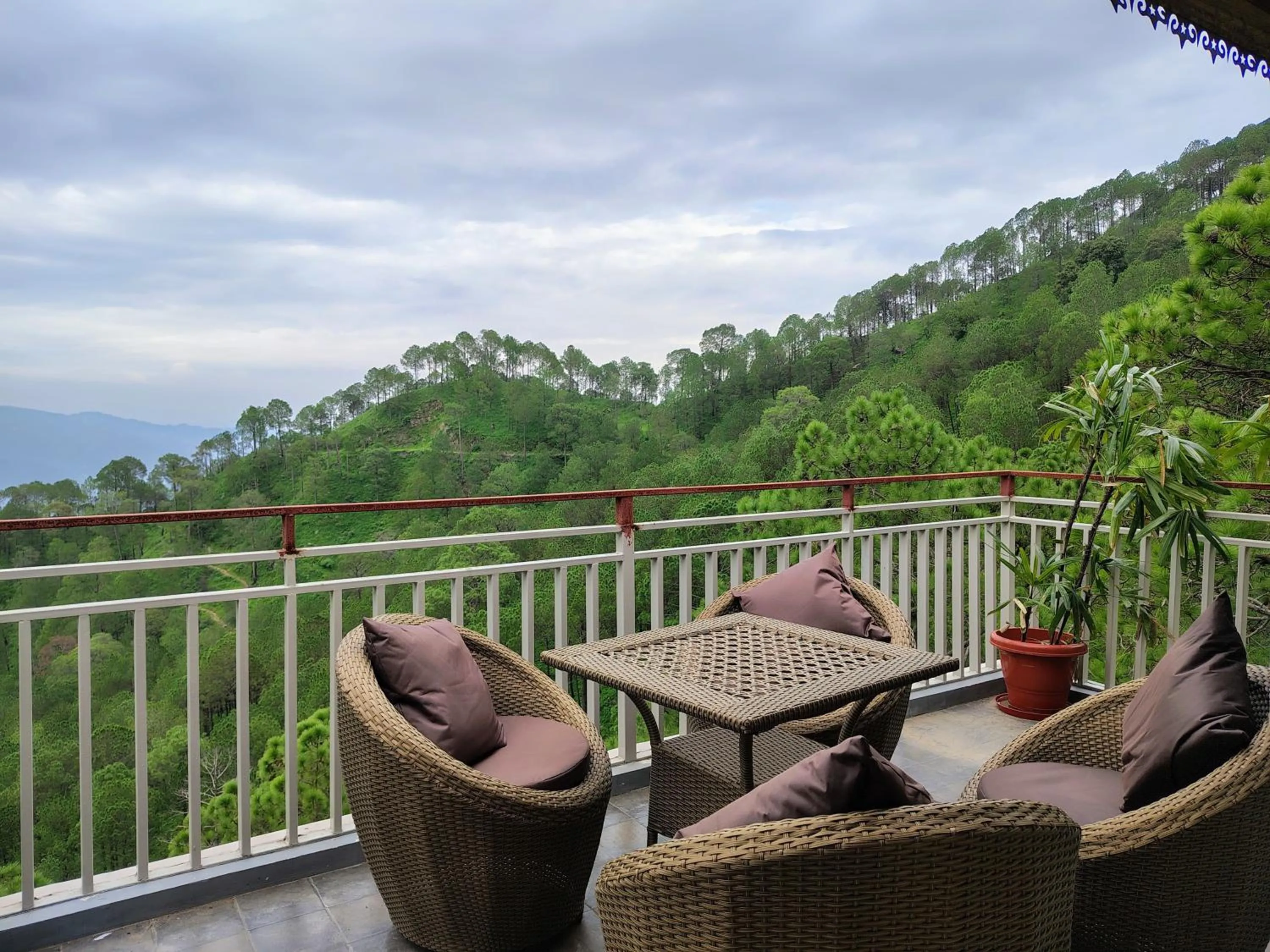 View (from property/room) in Pihu's Nest Kasauli