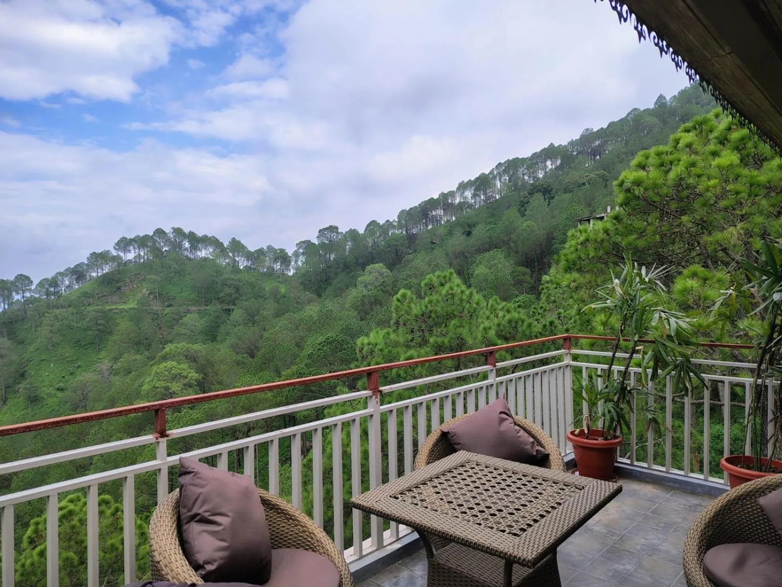 Natural landscape in Pihu's Nest Kasauli