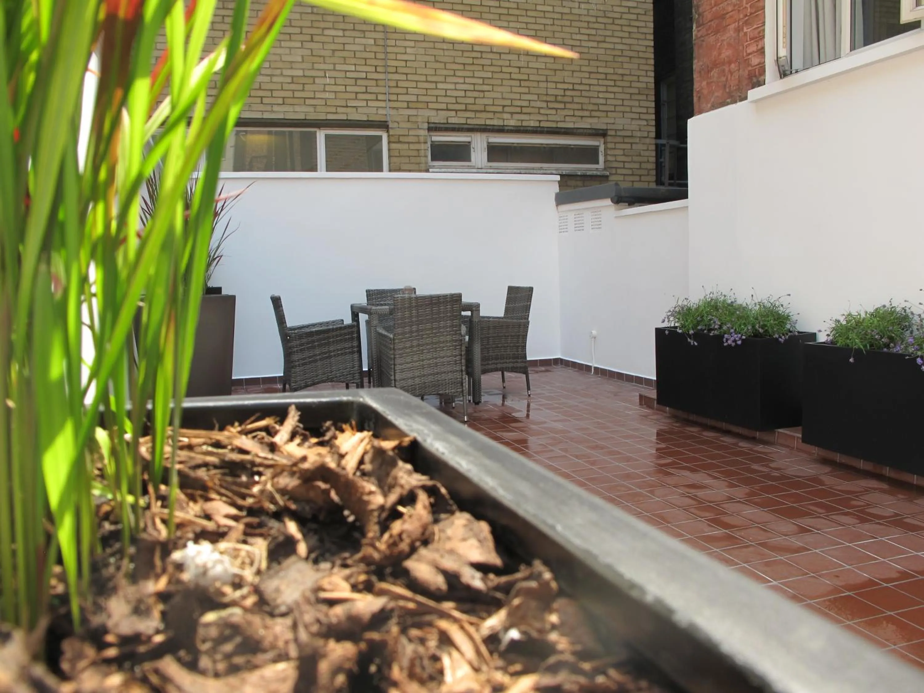 Garden in Alhambra Hotel