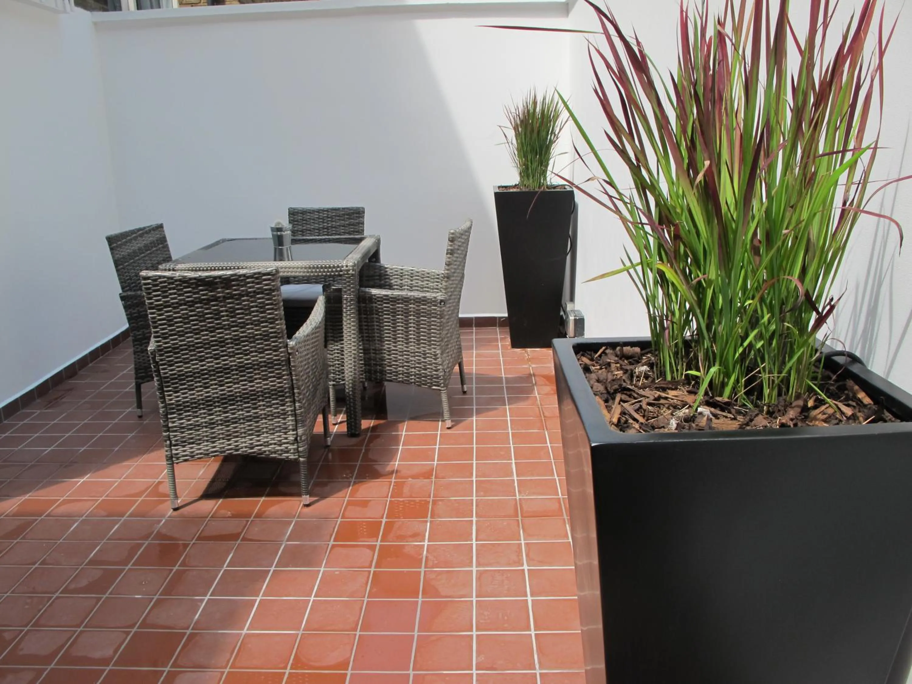 Garden in Alhambra Hotel