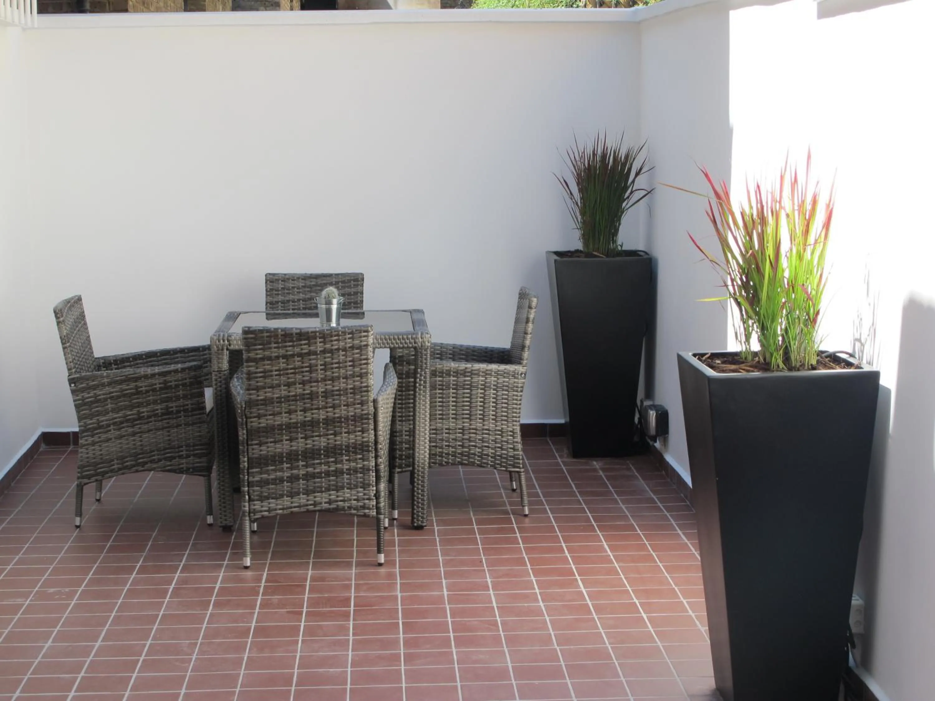 Garden in Alhambra Hotel