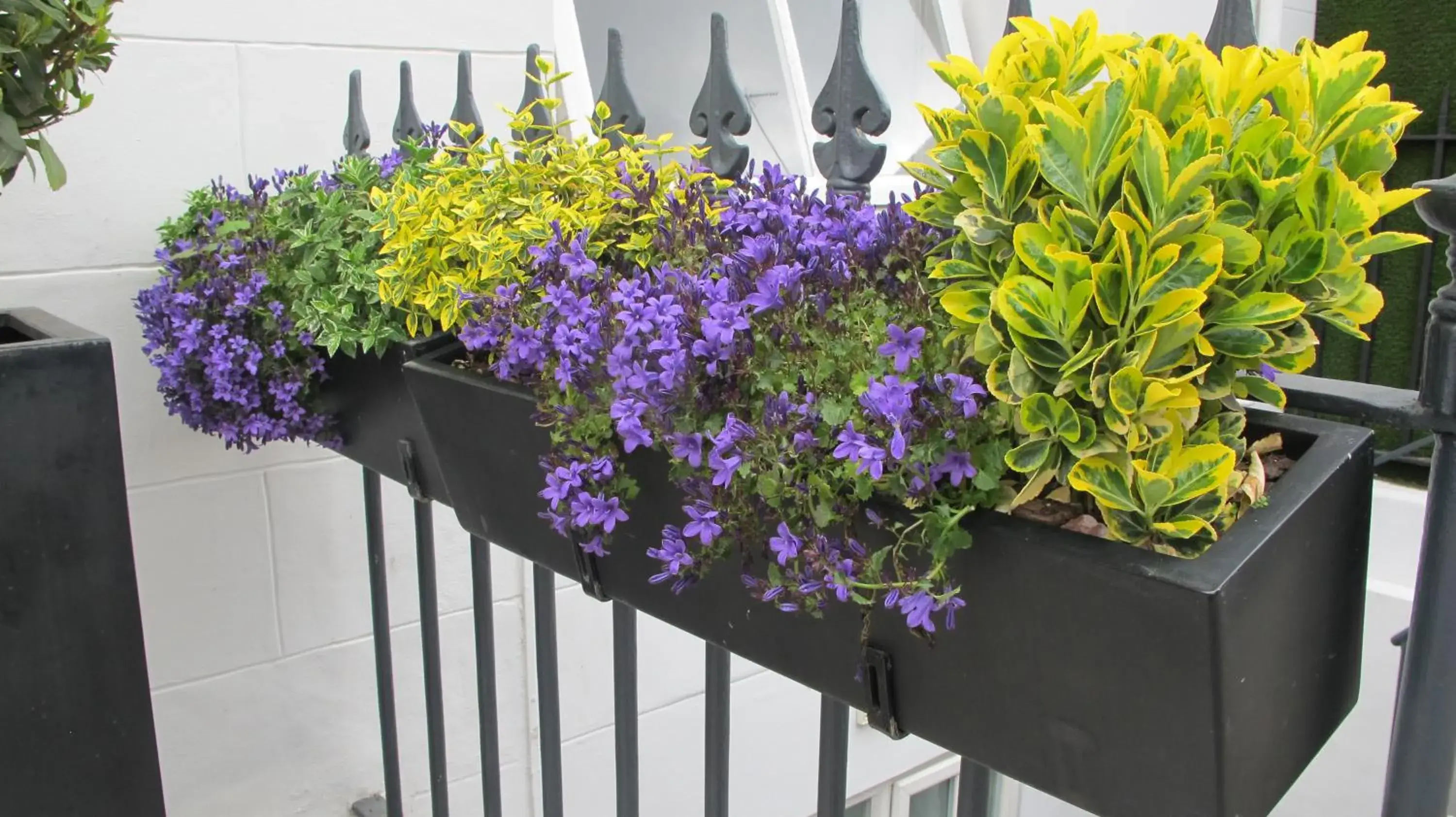 Property building in Alhambra Hotel Property building in Alhambra Hotel