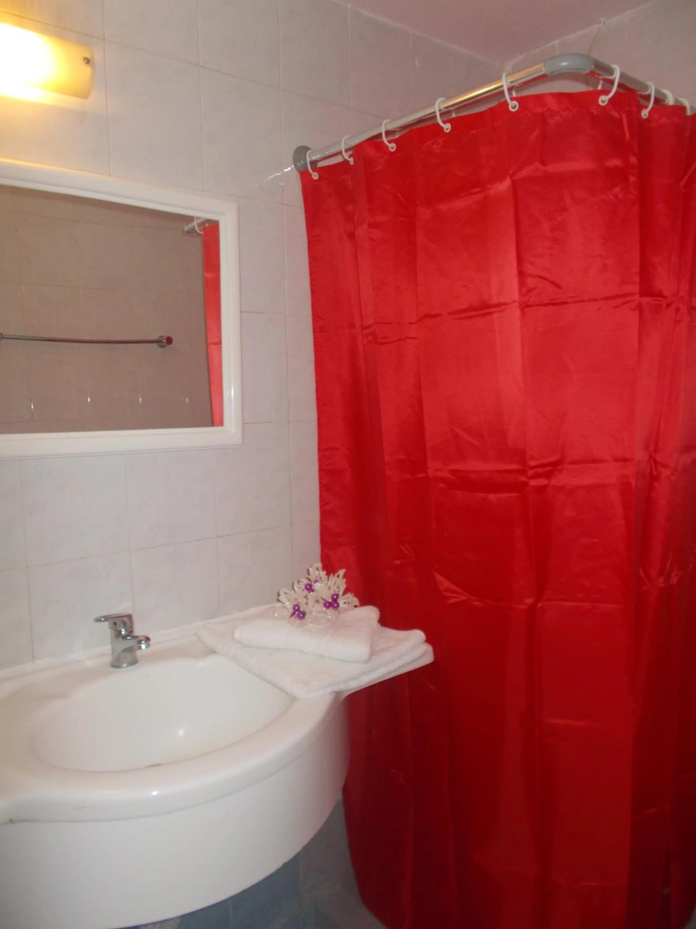 Shower in Elite Hotel