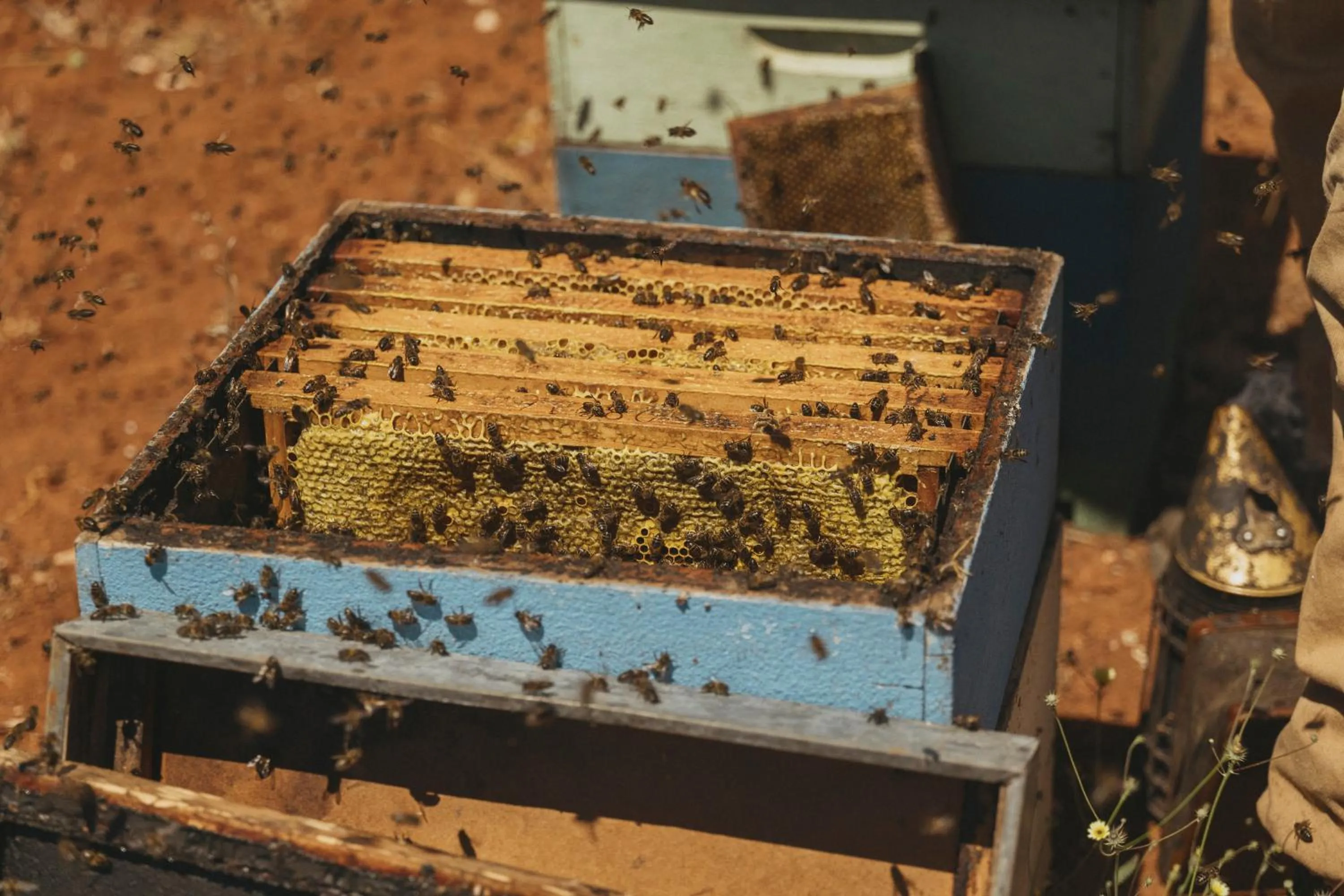 Day in Viceroy at Ombria Algarve