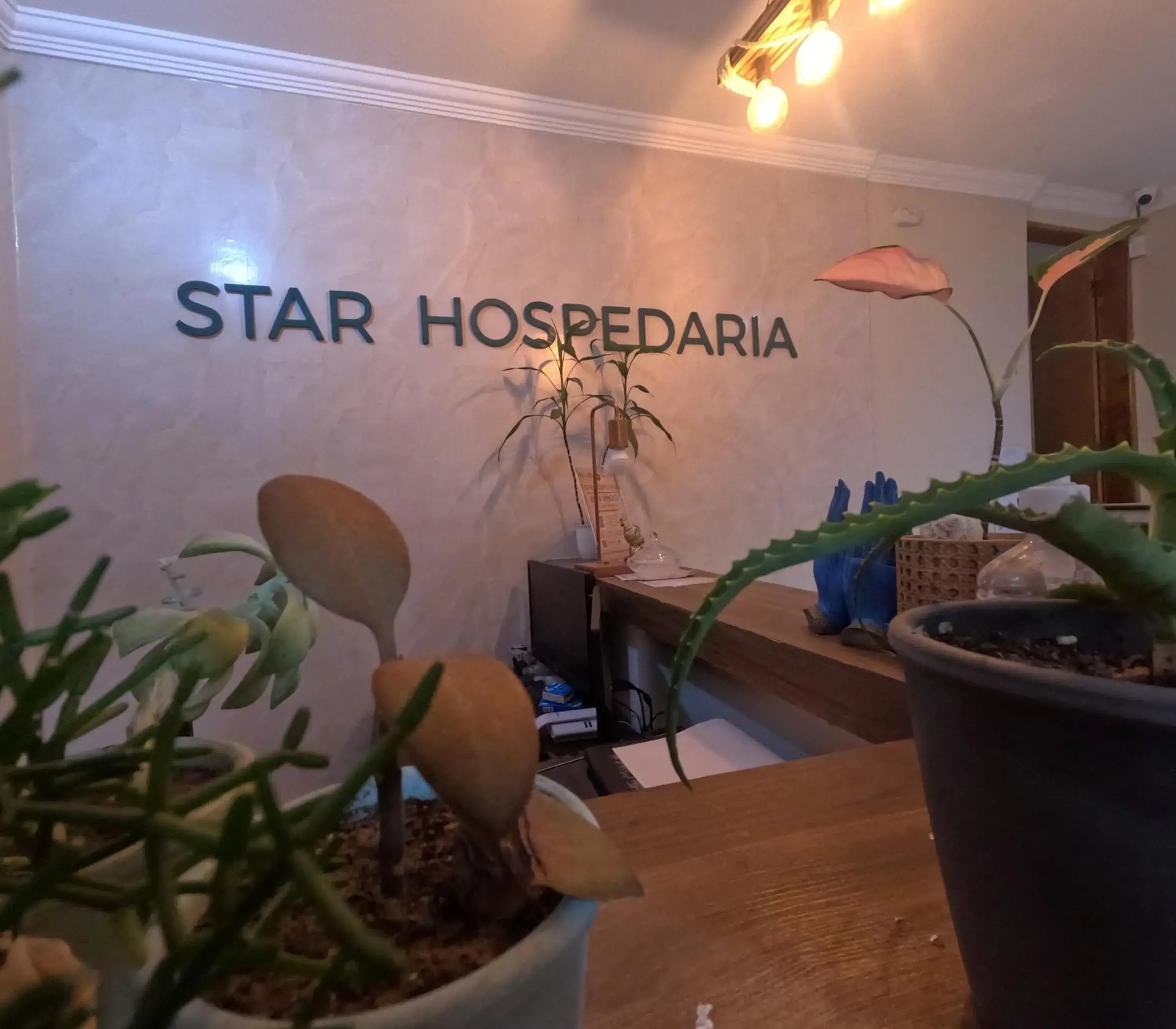 Star Hospedaria Star Hospedaria