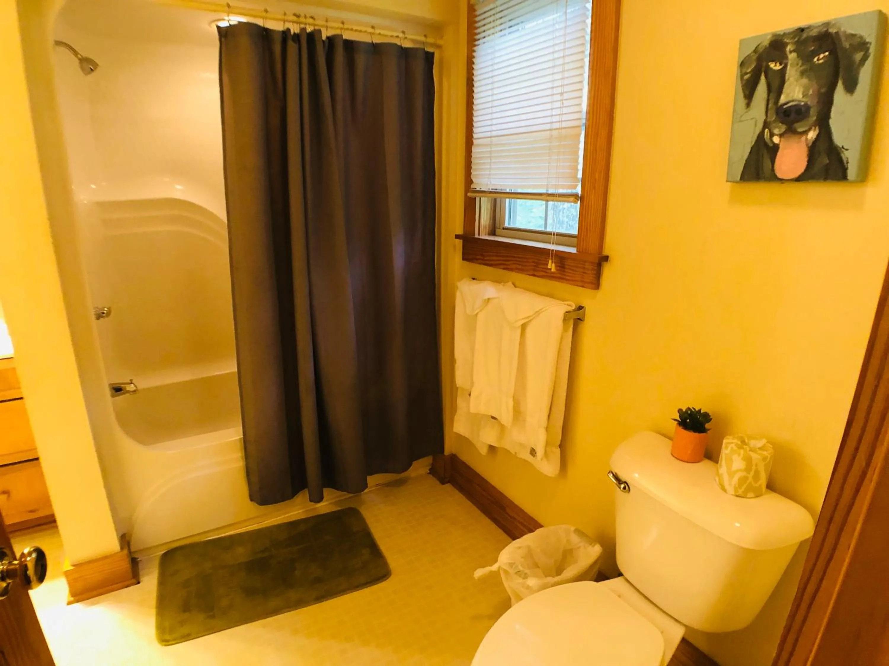 Briarstone Lodge Condo 13D by Eden Crest