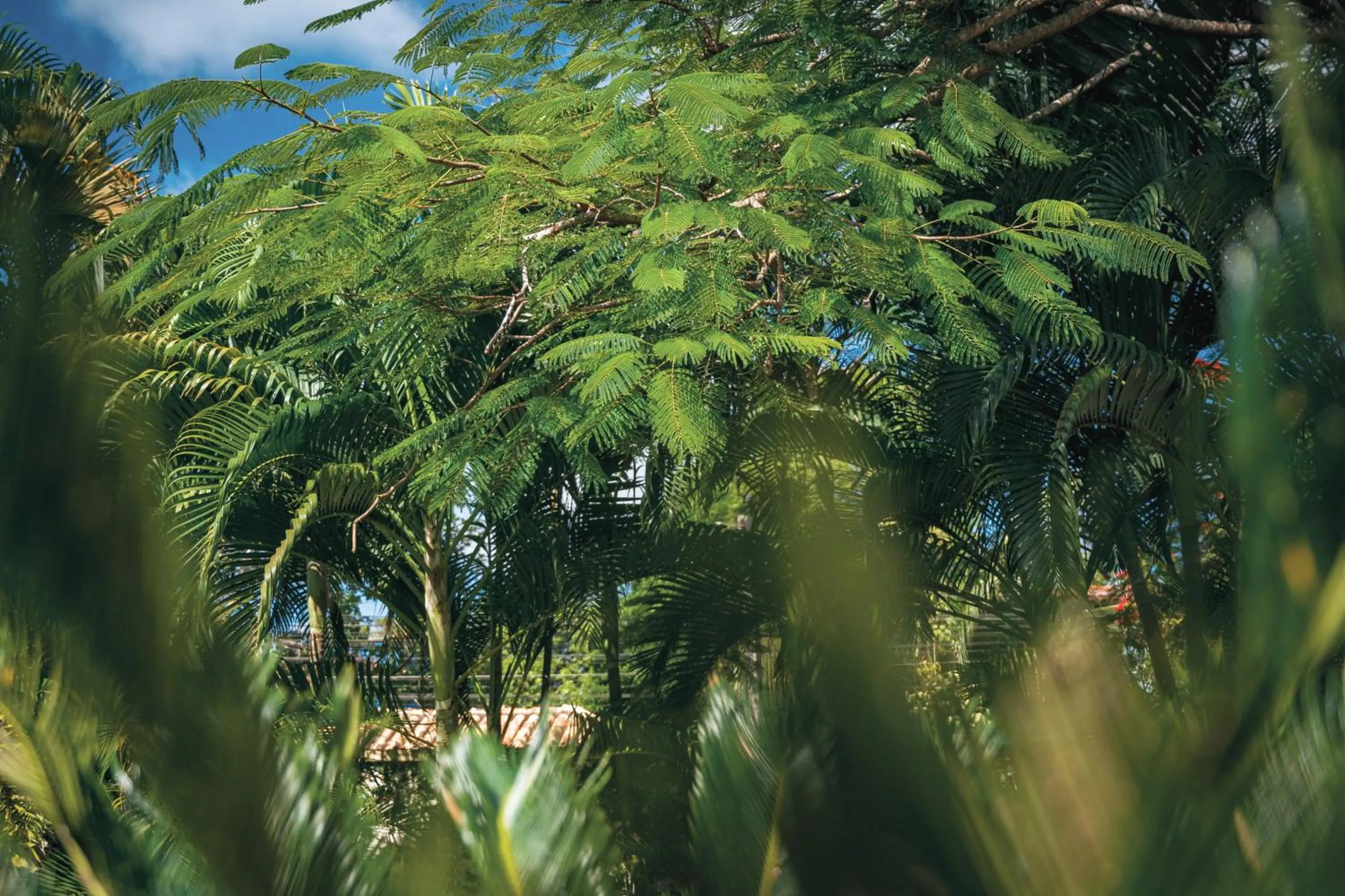 Ayla Arraial Pousada de Charme - Arraial D'Ajuda