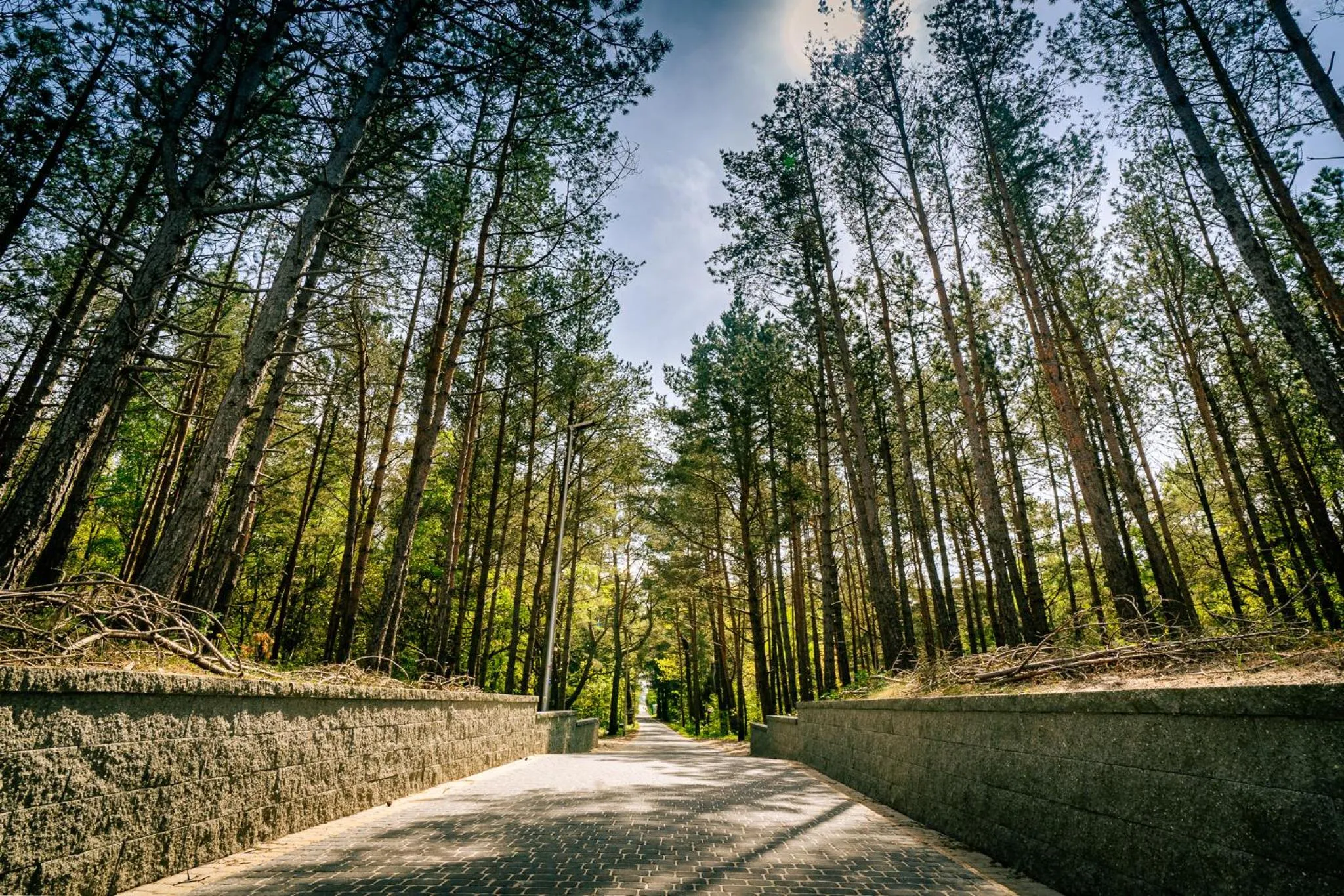 Natural landscape in Mielenko & Spa ex Baltin Hotel