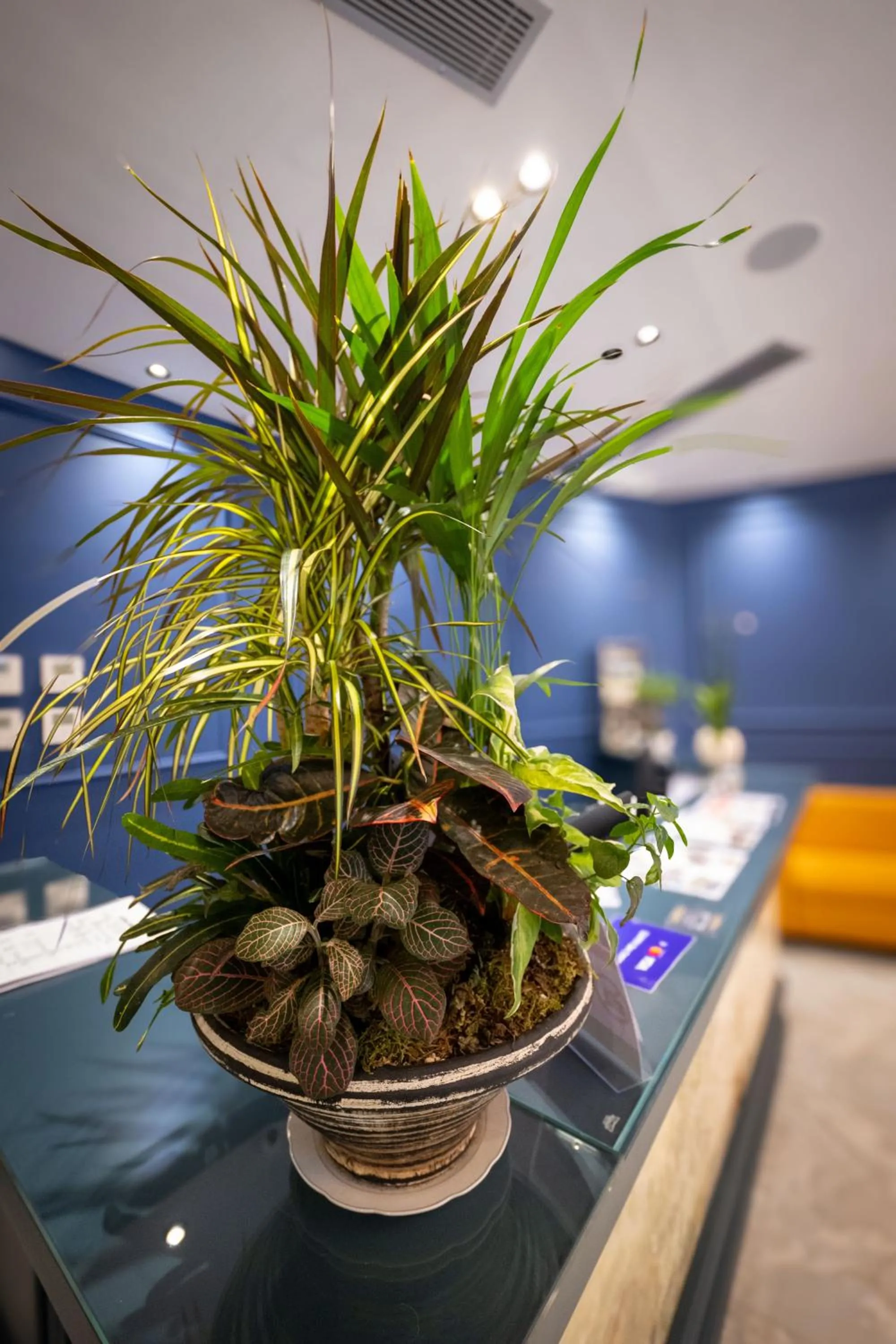 Property building in Hotel Dior