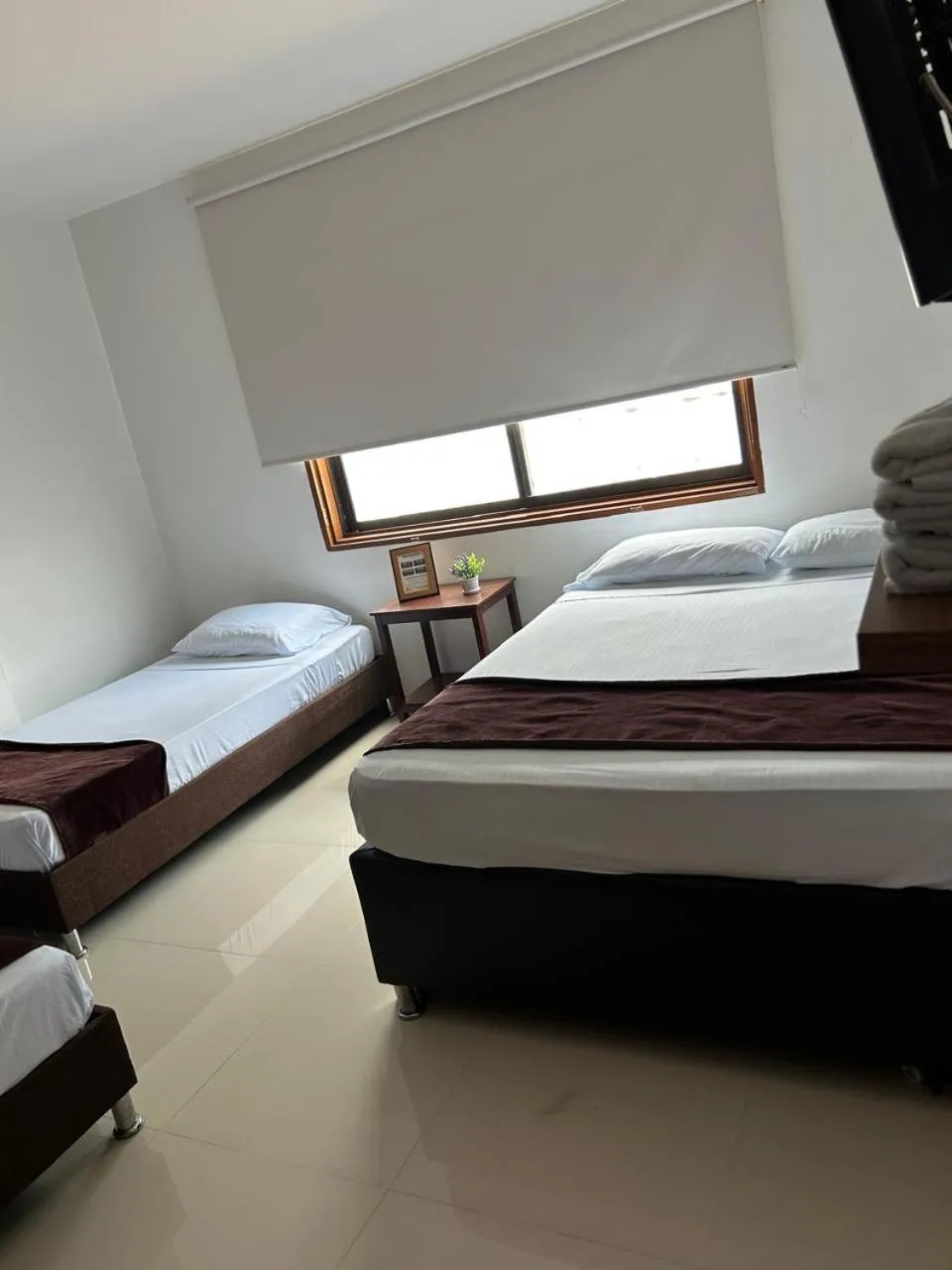 Hotel Terraza