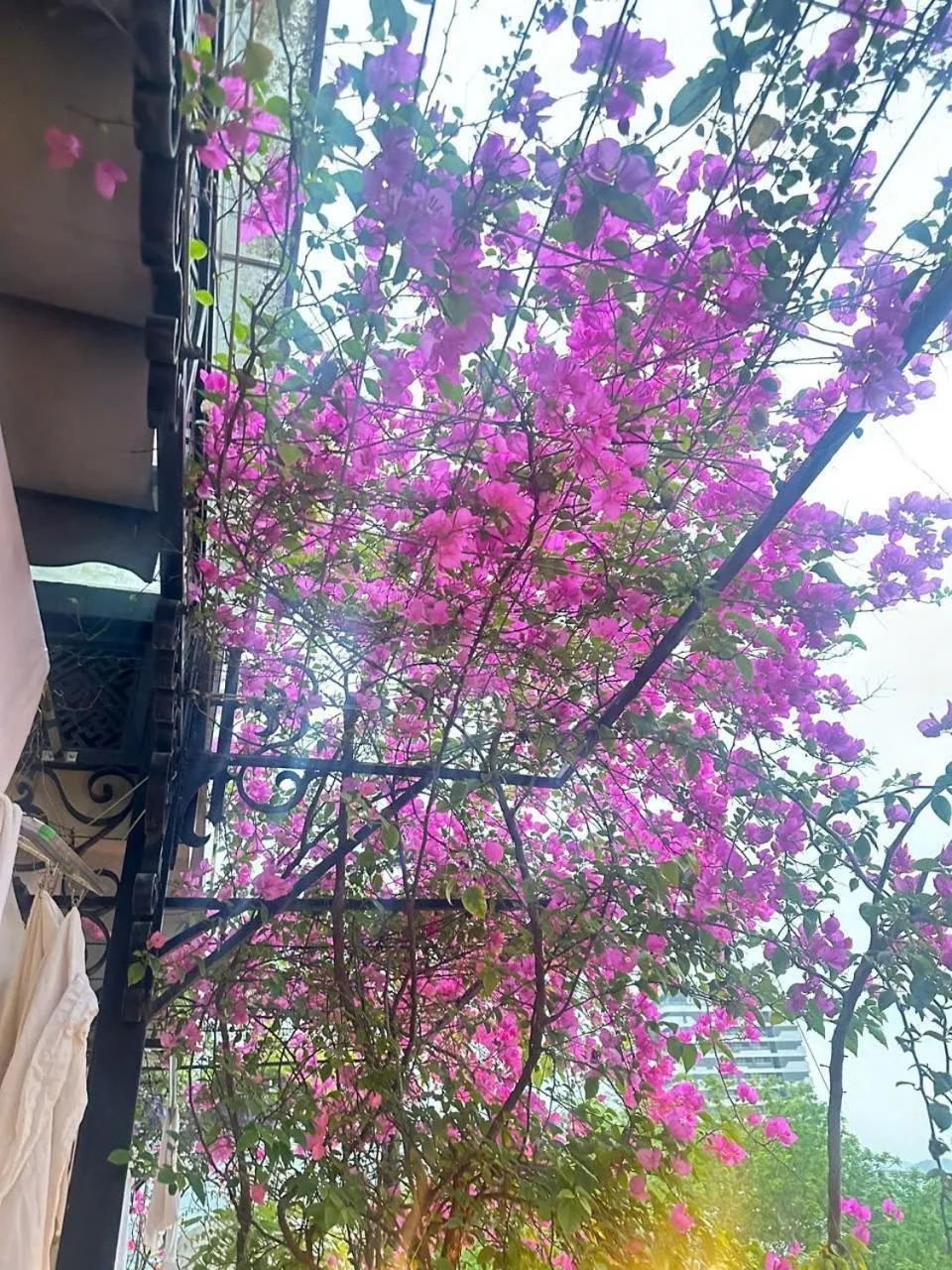 Hotel Los Angeles