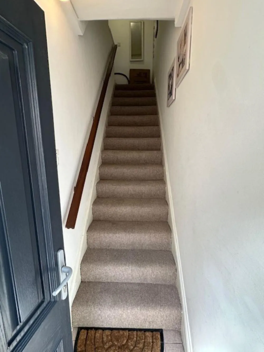 Other in Hayden's House