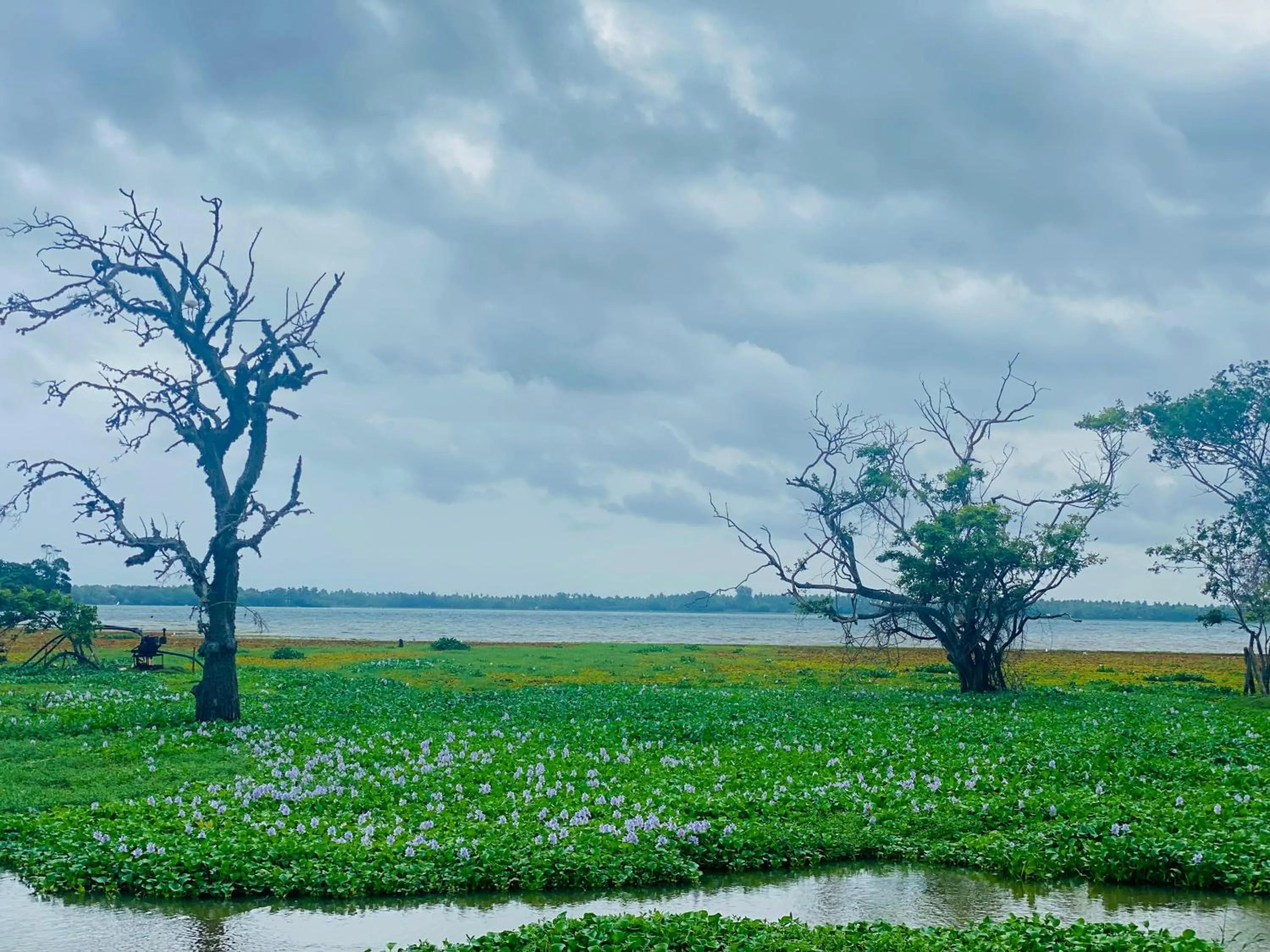 Lake view in Wanamal Lake Front Yala