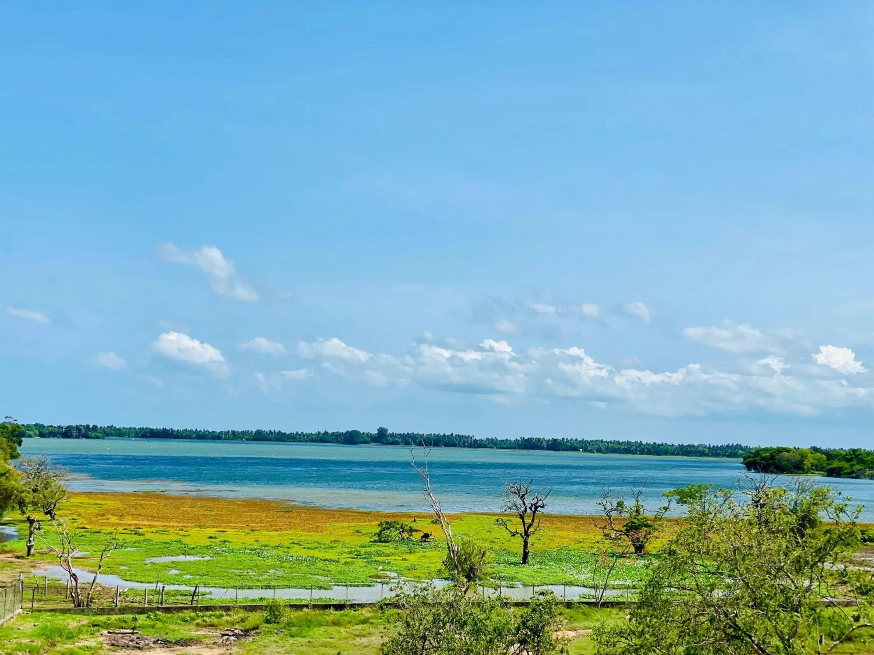 Lake view in Wanamal Lake Front Yala