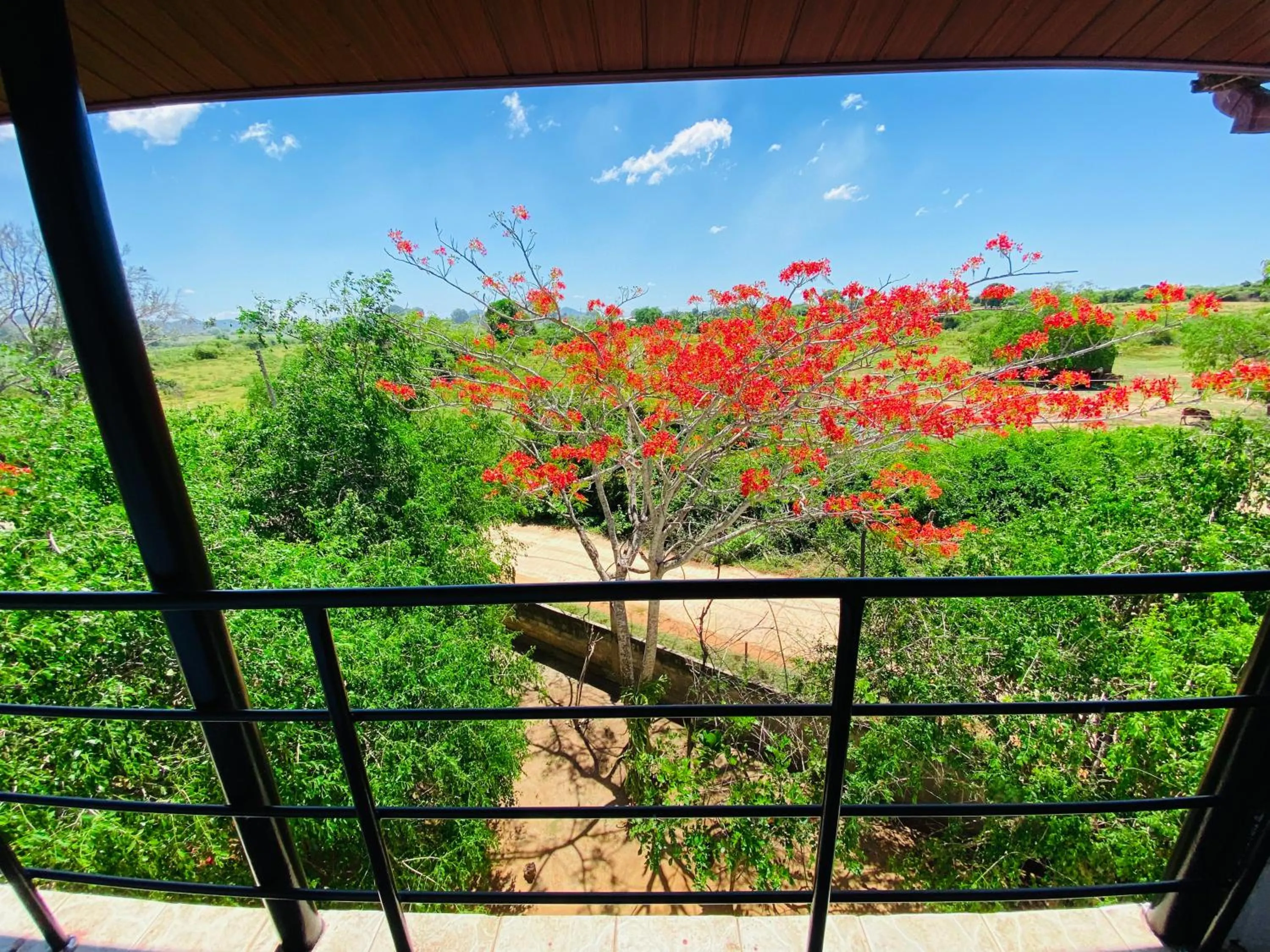 View (from property/room) in Wanamal Lake Front Yala