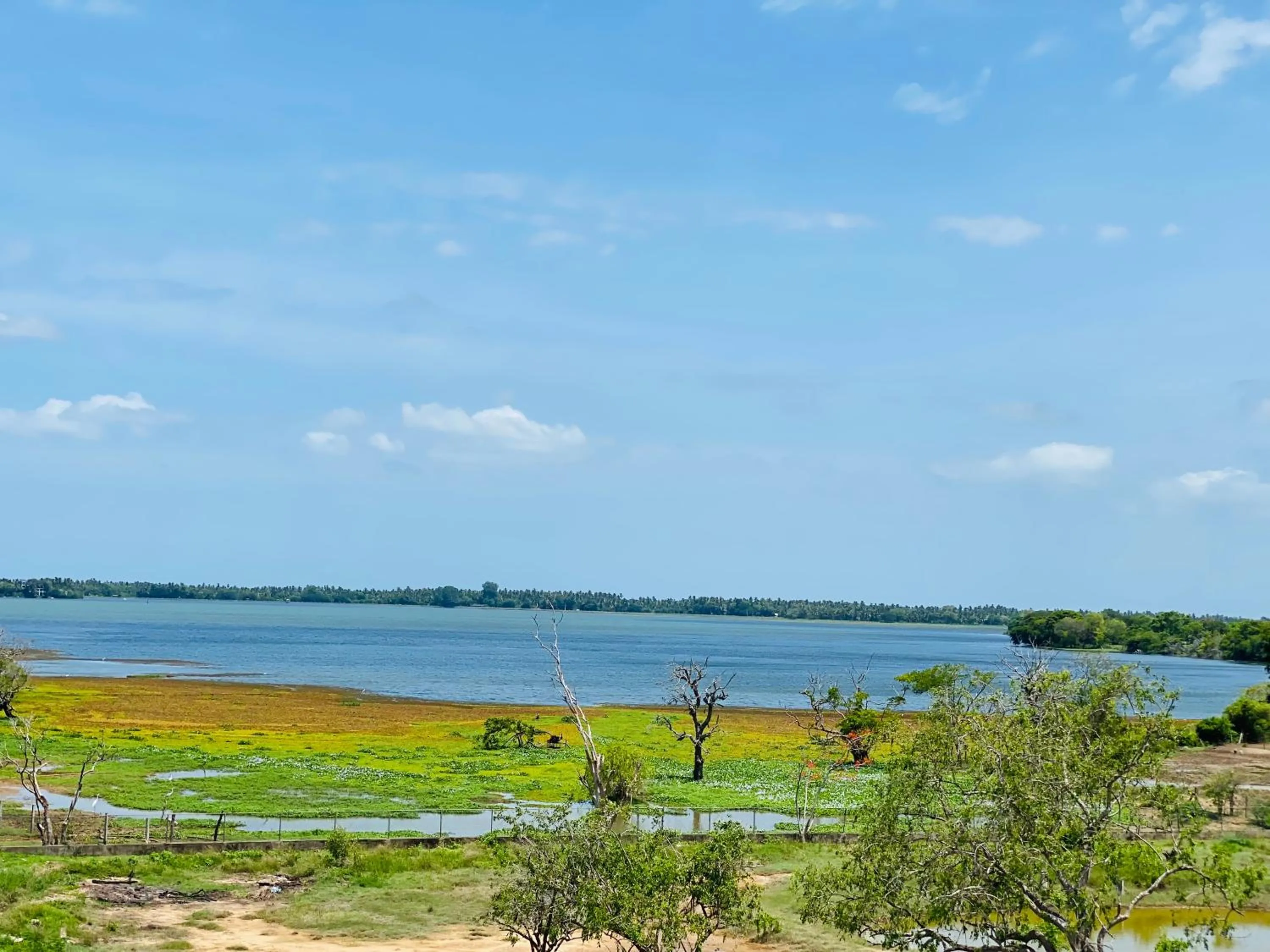 Natural landscape in Wanamal Lake Front Yala