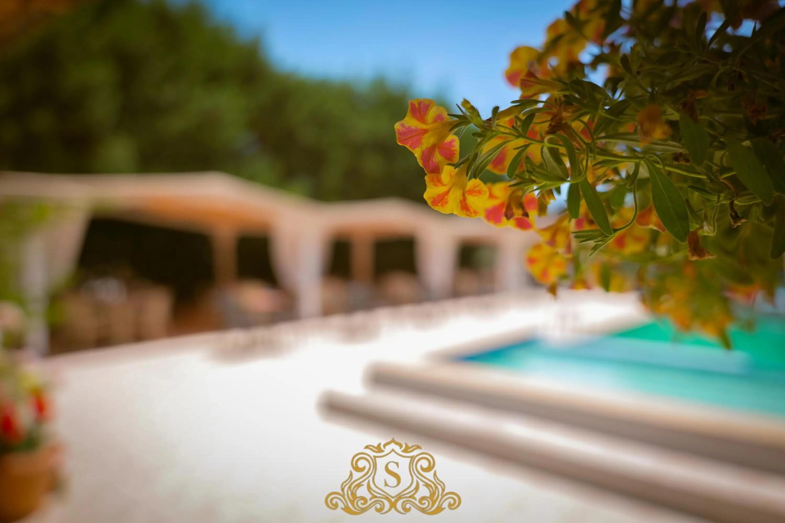 Day in Hotel Sorrente