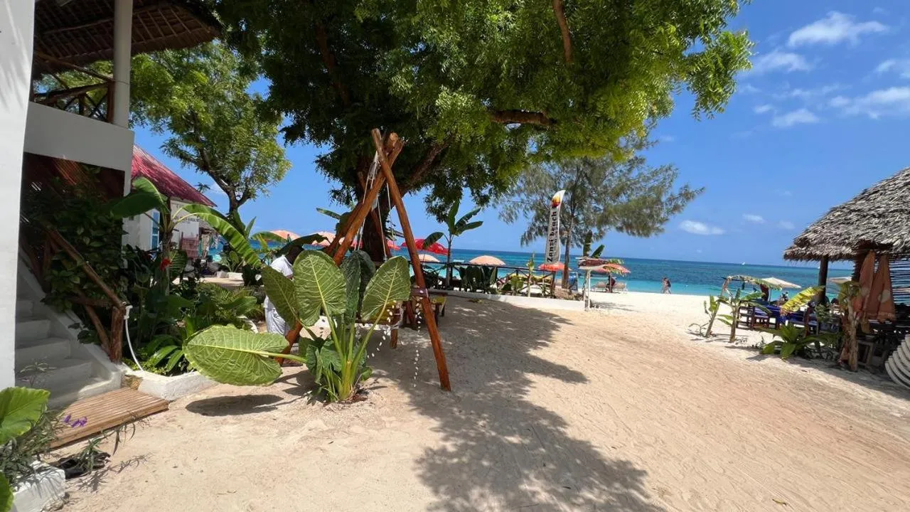 Beach in Zanzi beach hotel