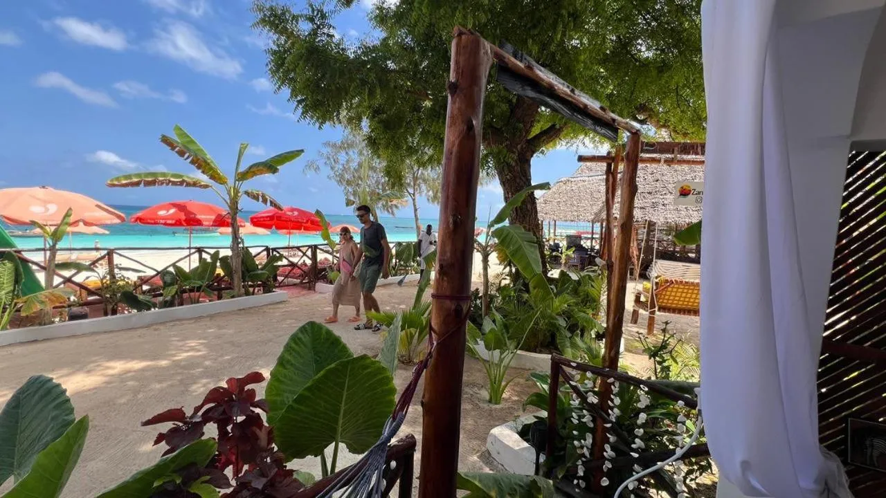 Sea view in Zanzi beach hotel