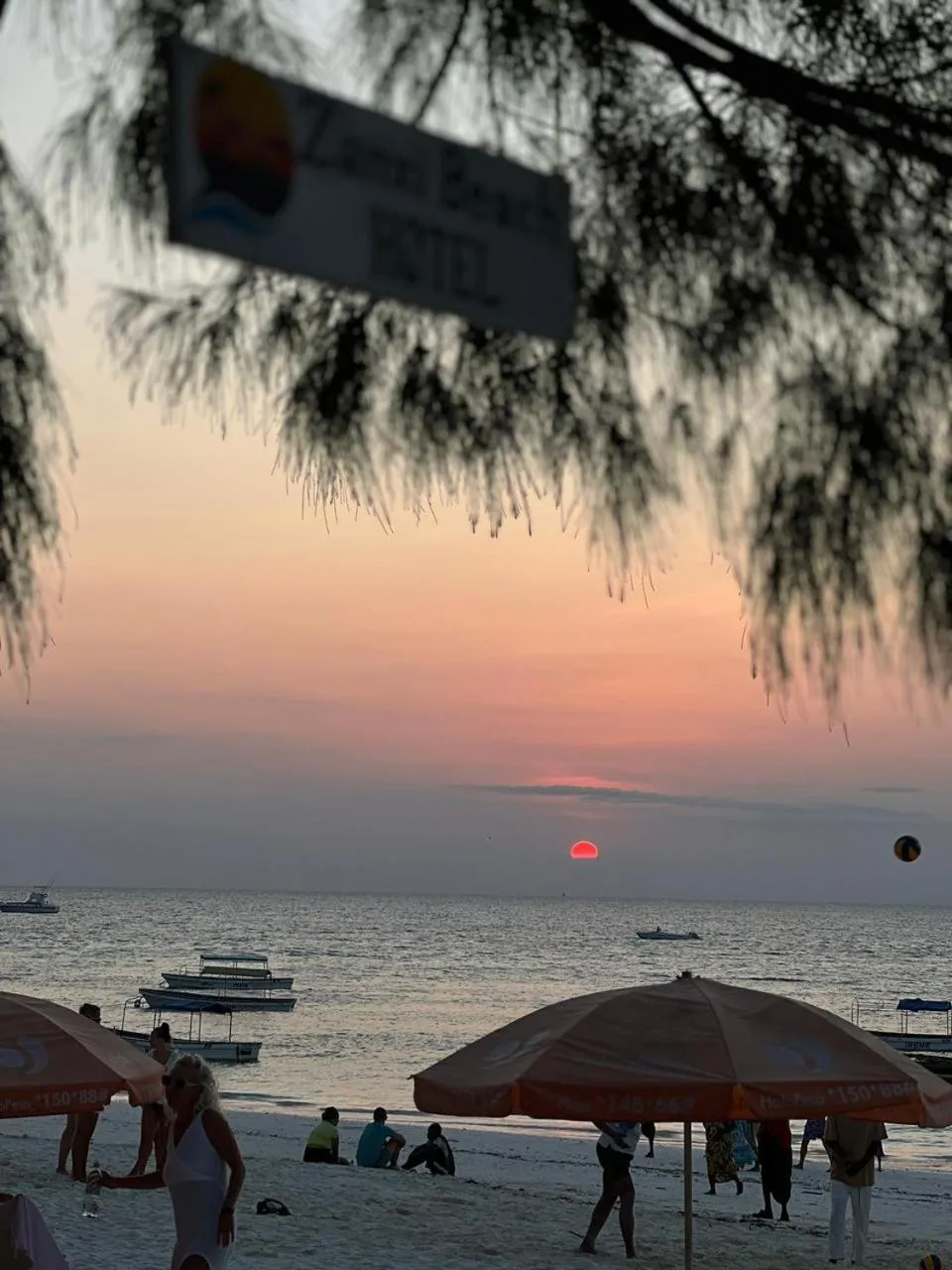 Beach in Zanzi beach hotel