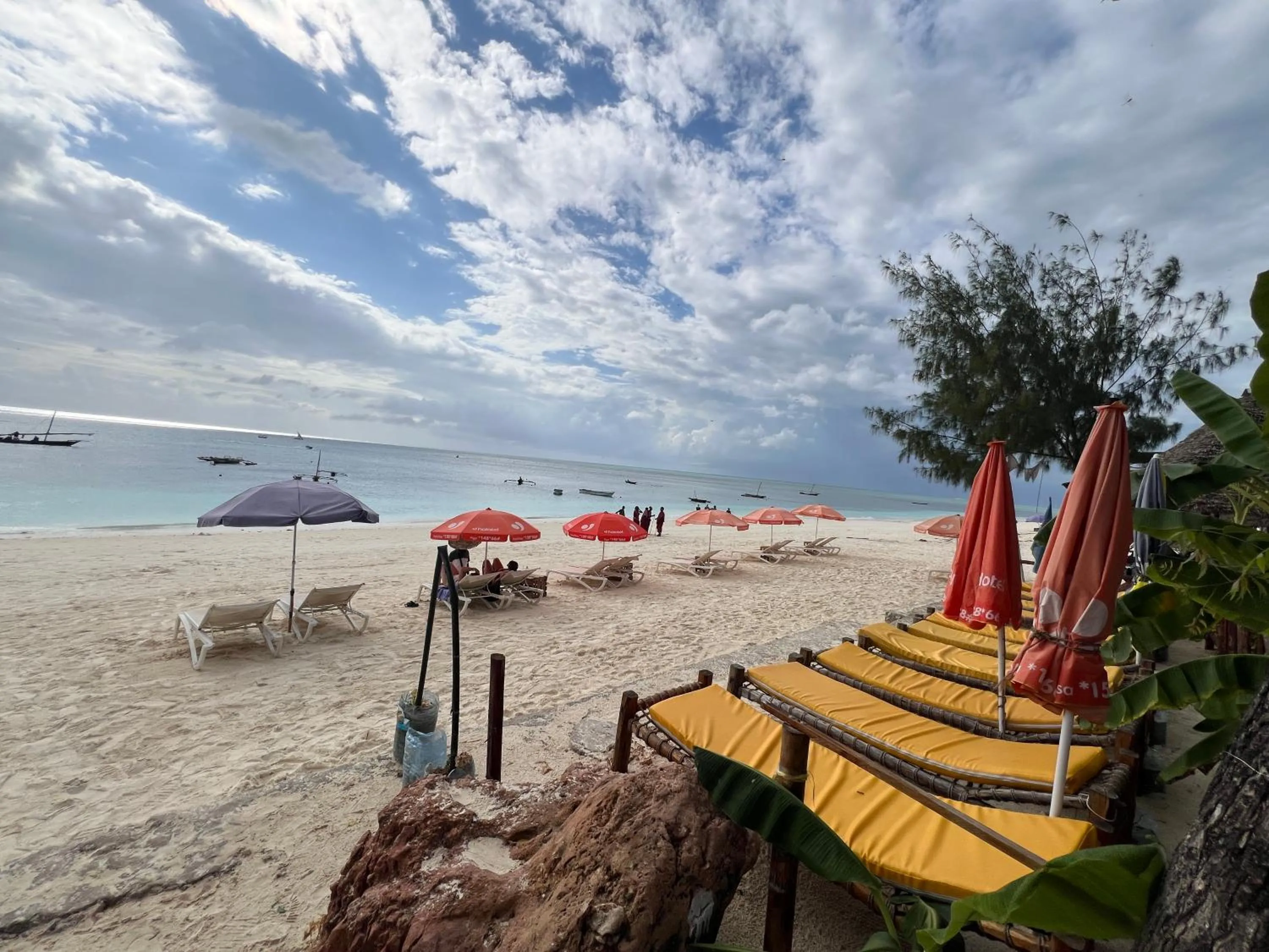 Natural landscape in Zanzi beach hotel