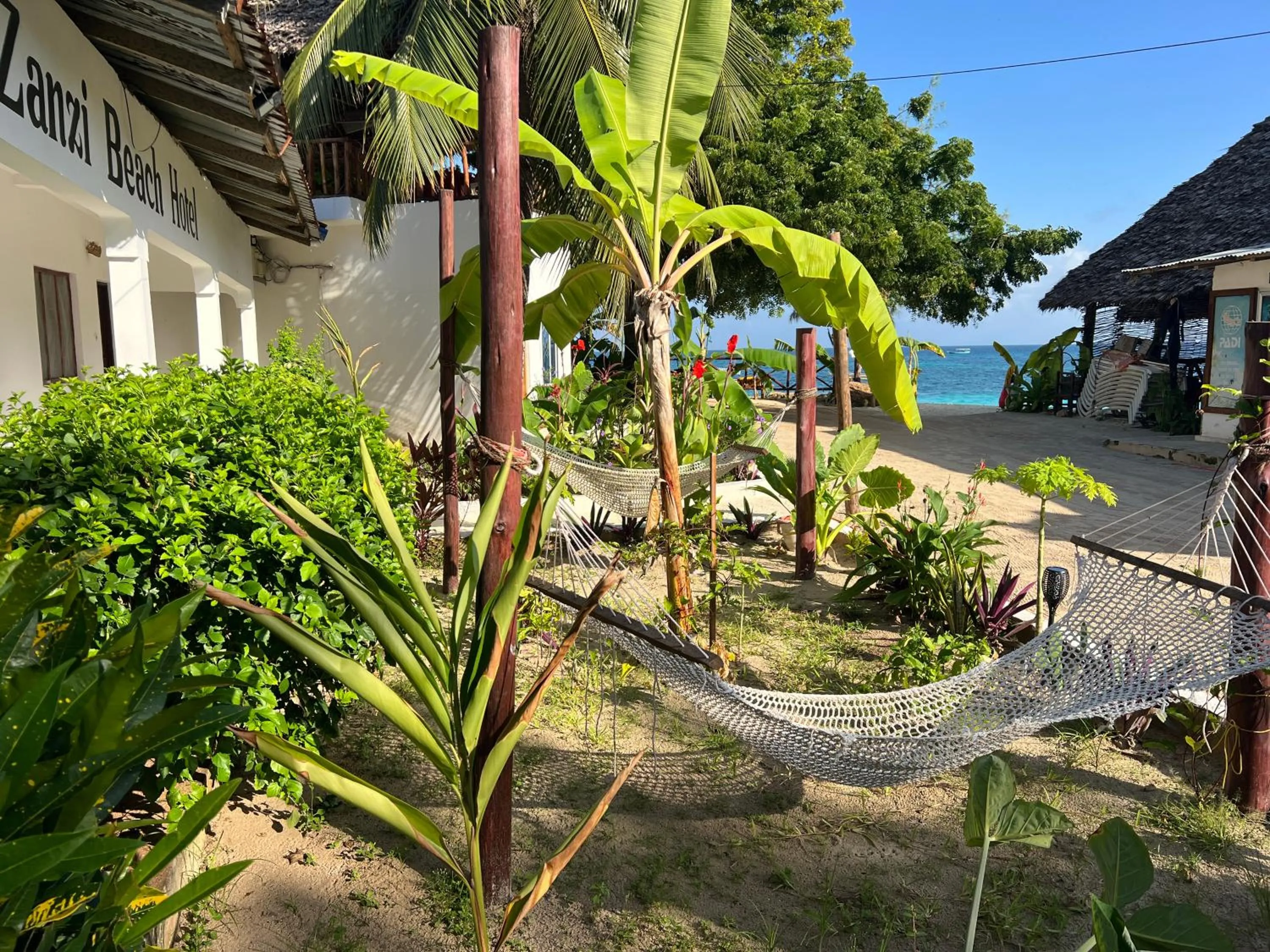 Zanzi beach hotel