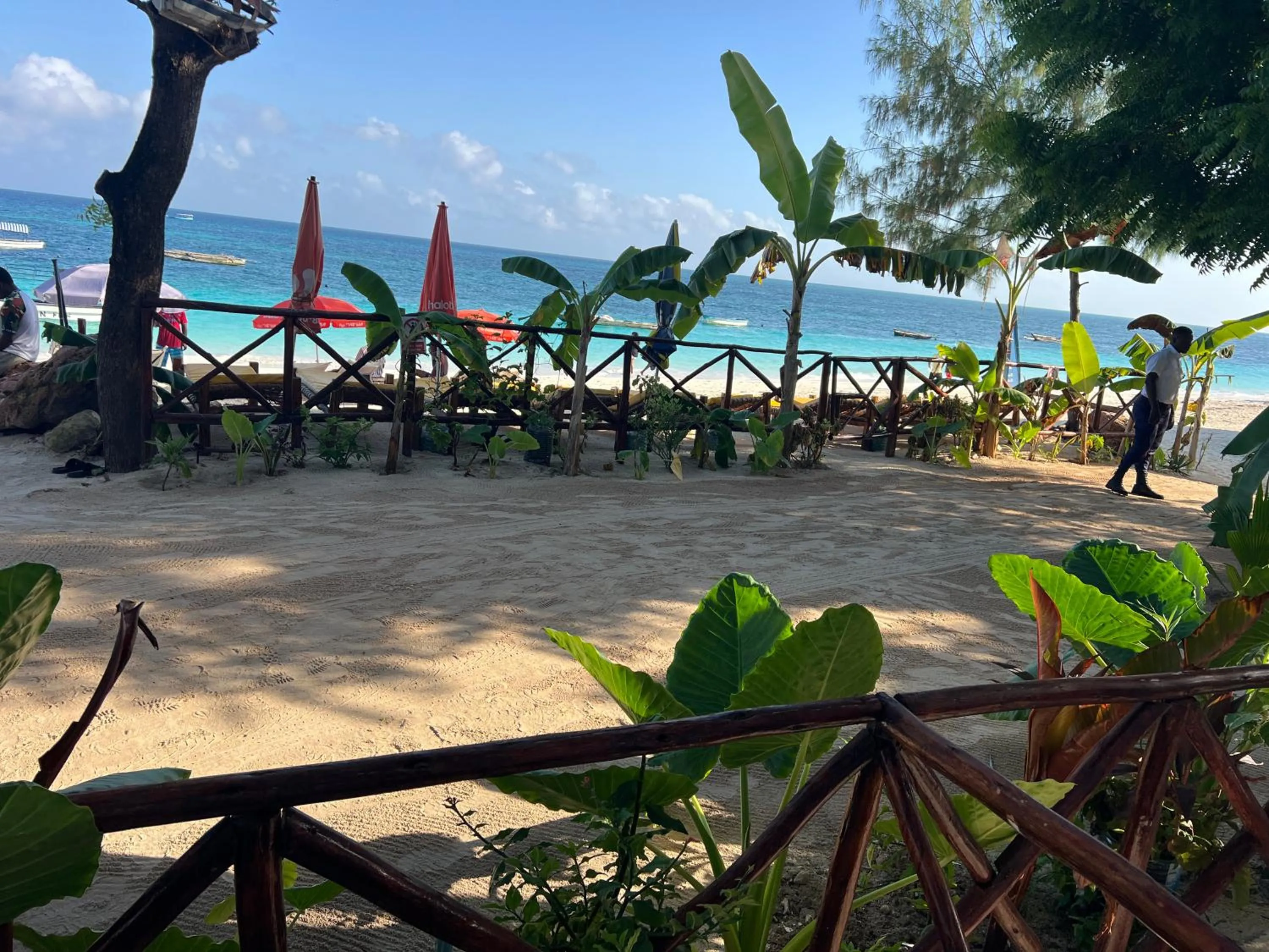 Sea view in Zanzi beach hotel