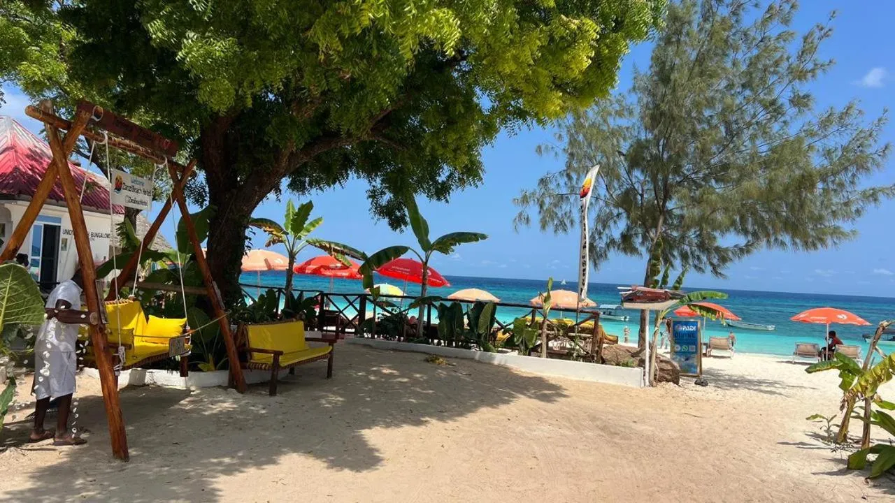 Beach in Zanzi beach hotel