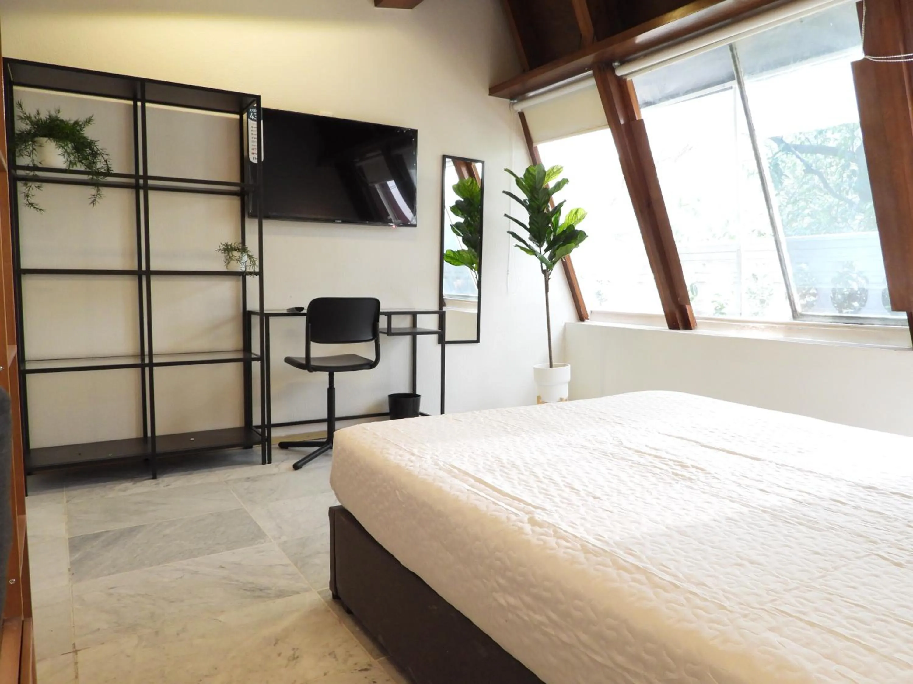 Photo of the whole room, Bed in Singular Reforma