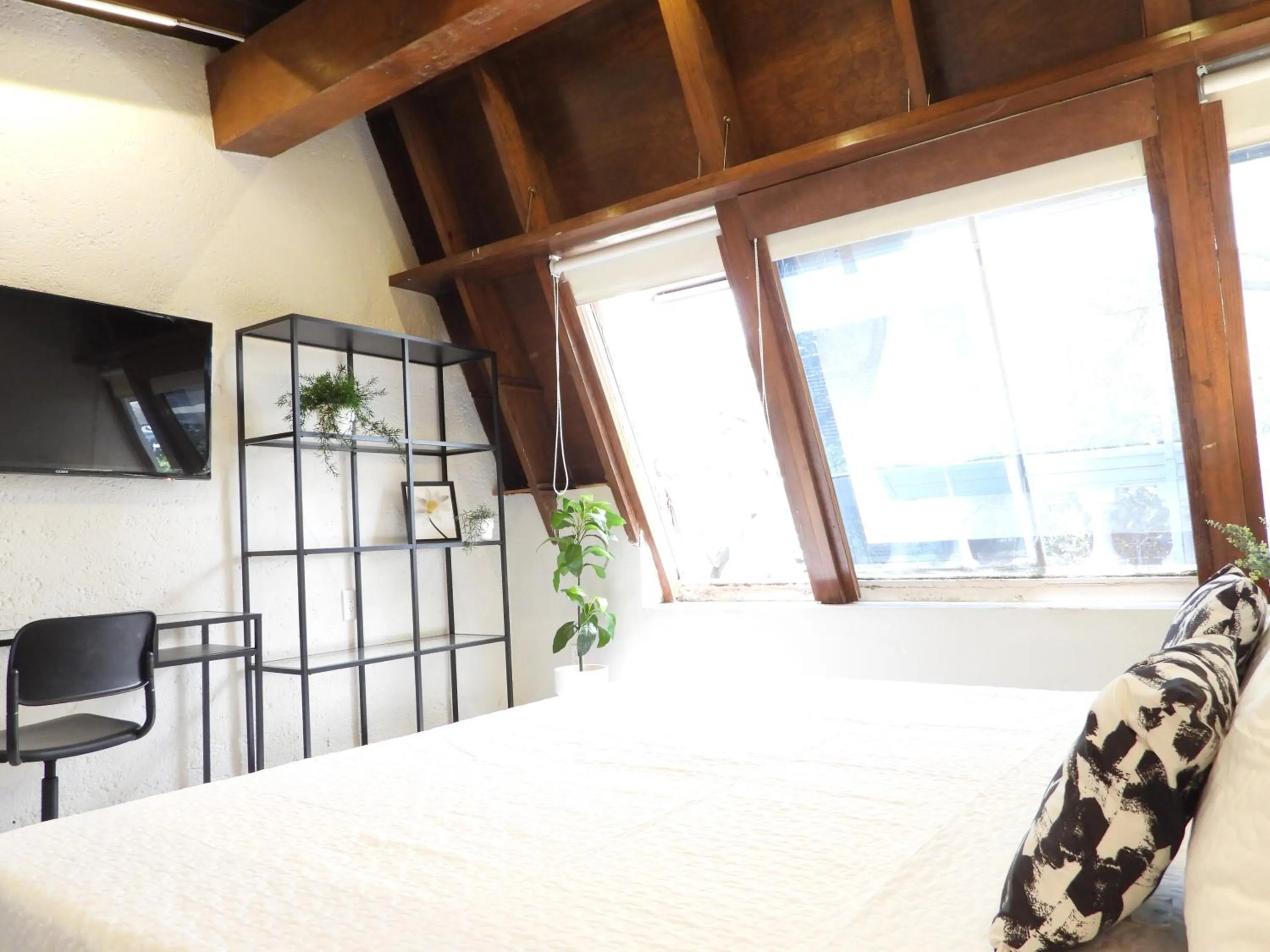 Photo of the whole room, Bed in Singular Reforma