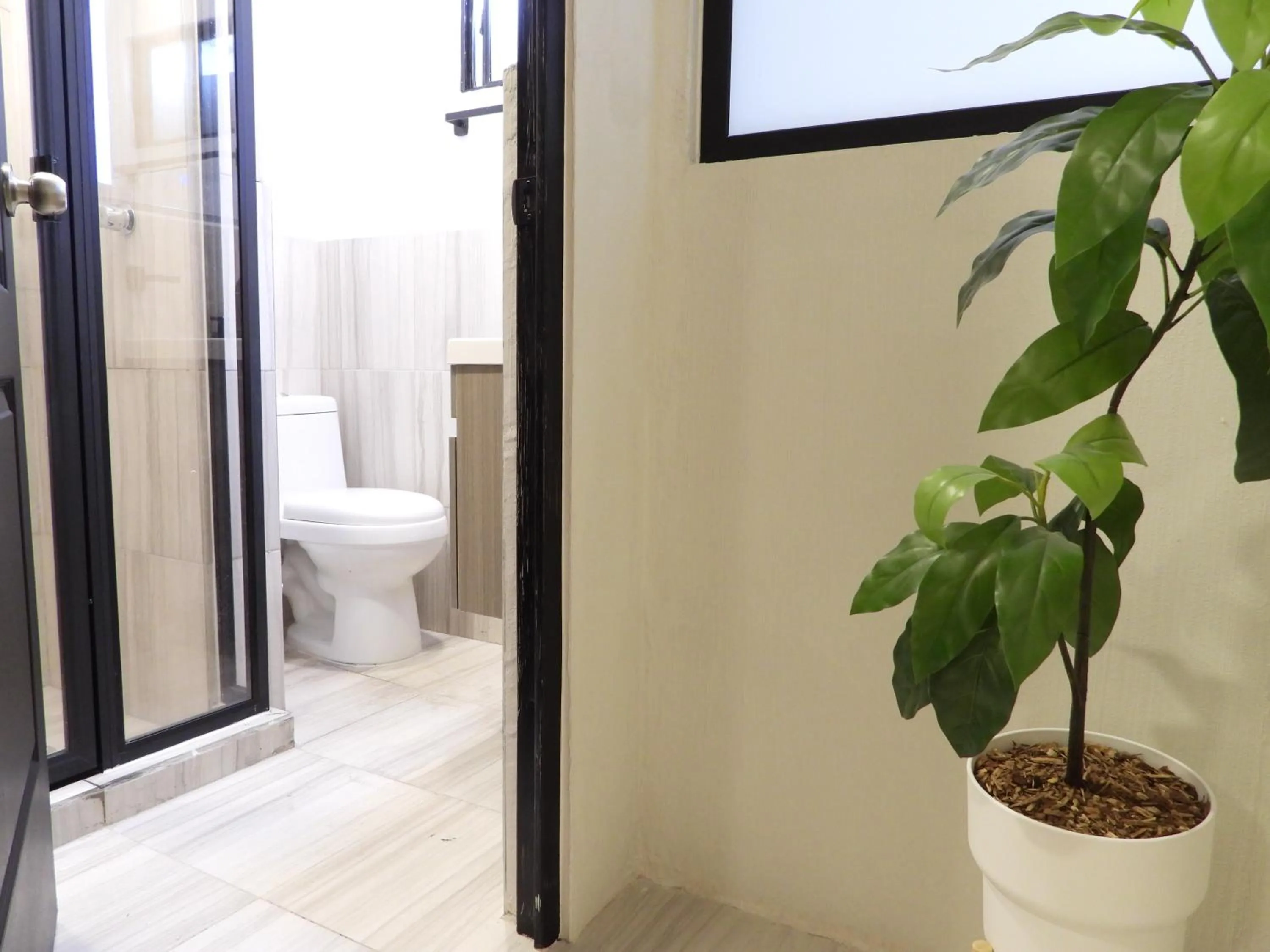 Bathroom in Singular Reforma