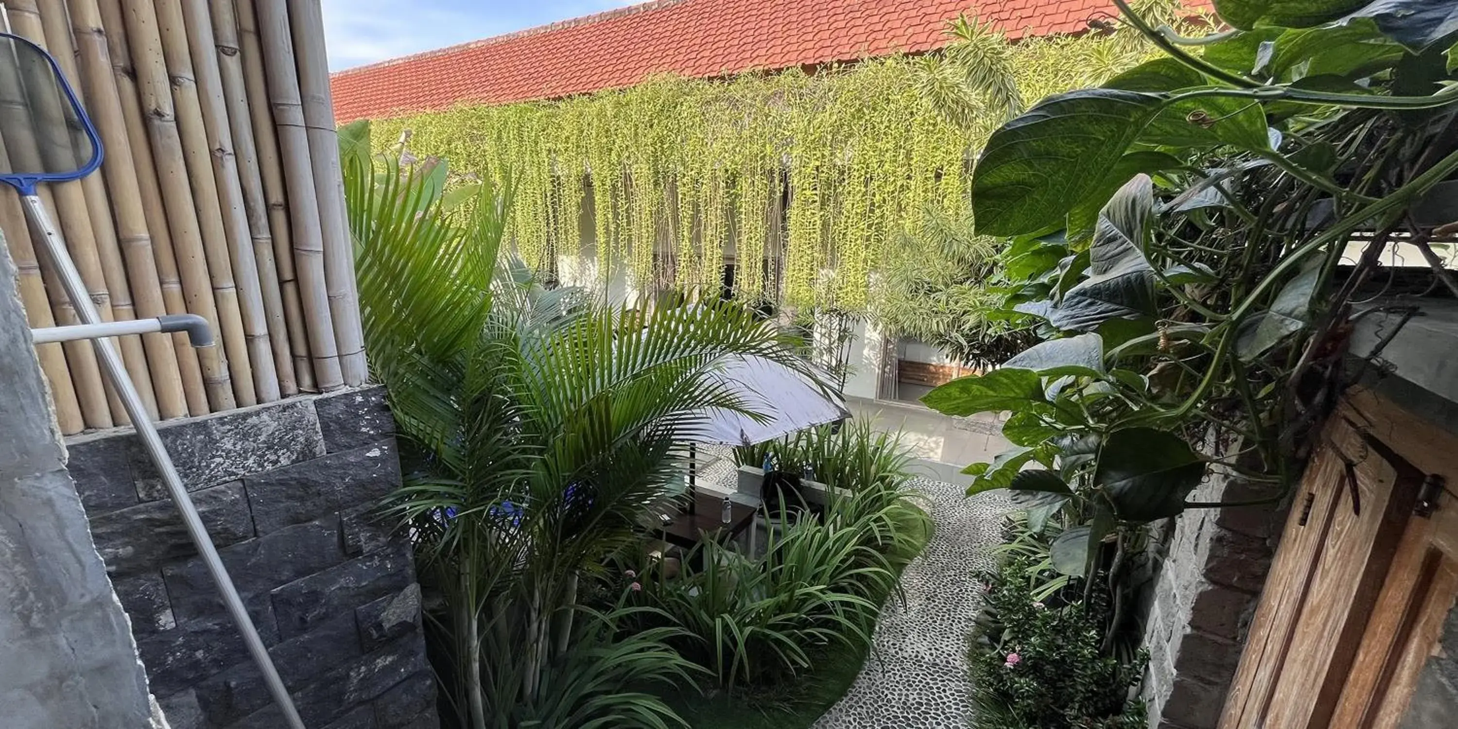 Garden view in Pis Bolong Canggu Garden view in Pis Bolong Canggu