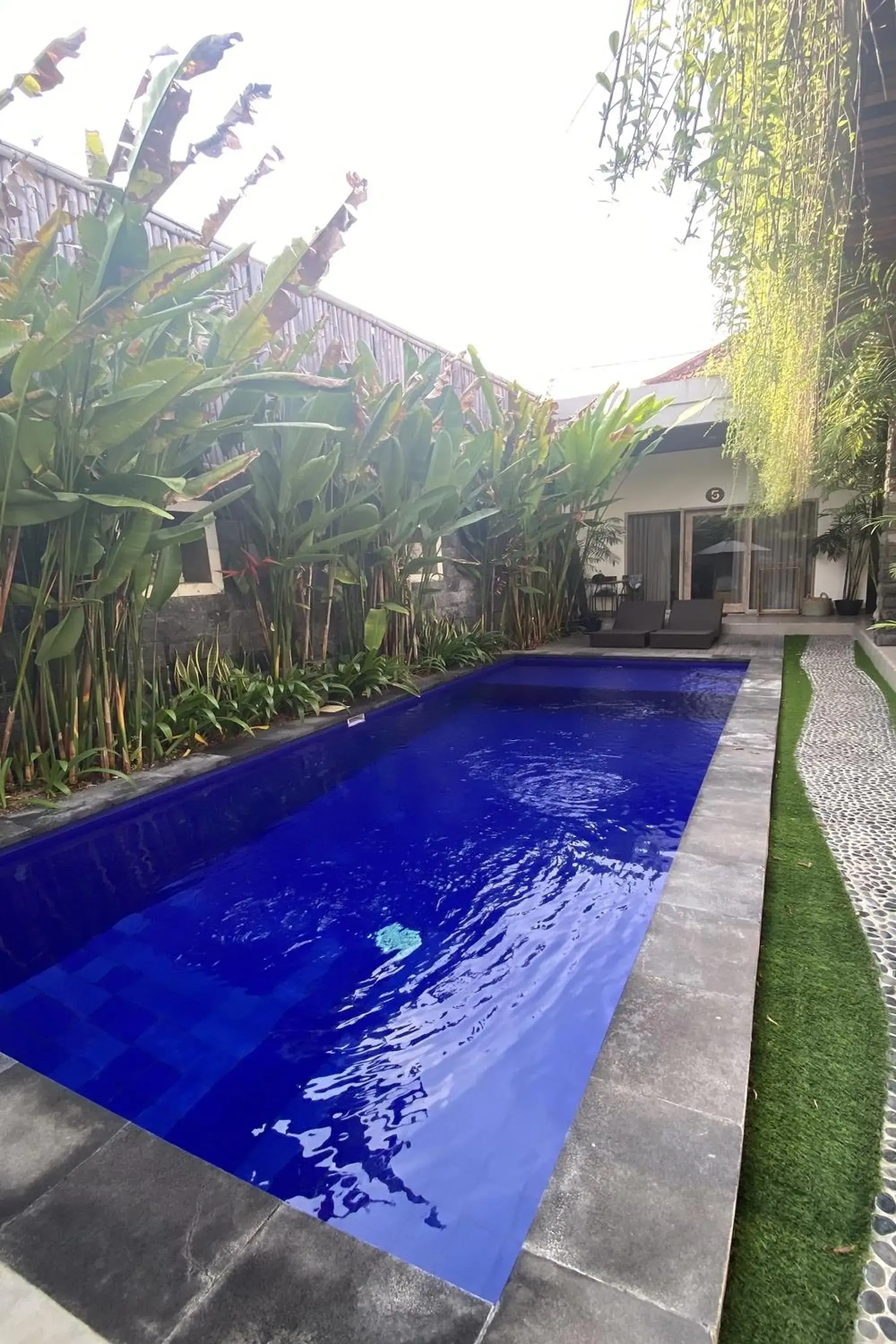 Swimming pool in Pis Bolong Canggu Swimming pool in Pis Bolong Canggu
