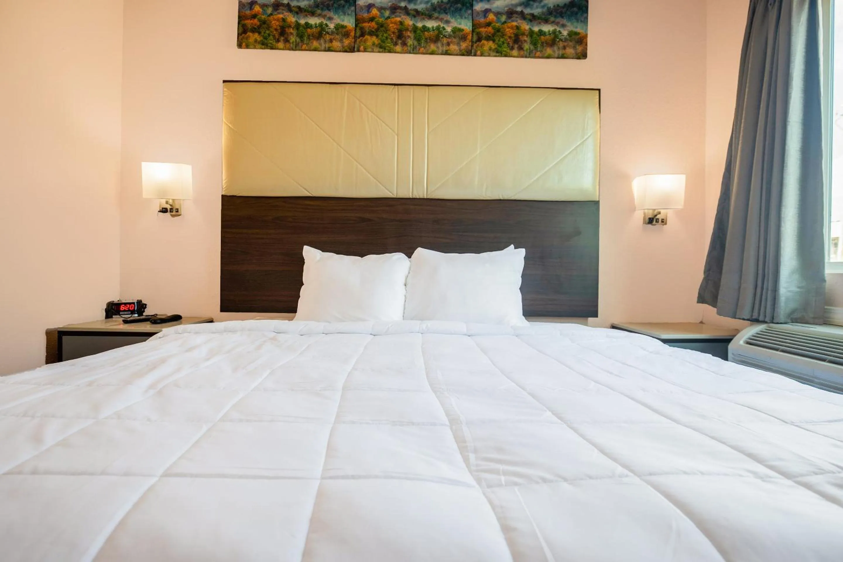 Bedroom in OYO Hotel Adairsville Calhoun South I-75