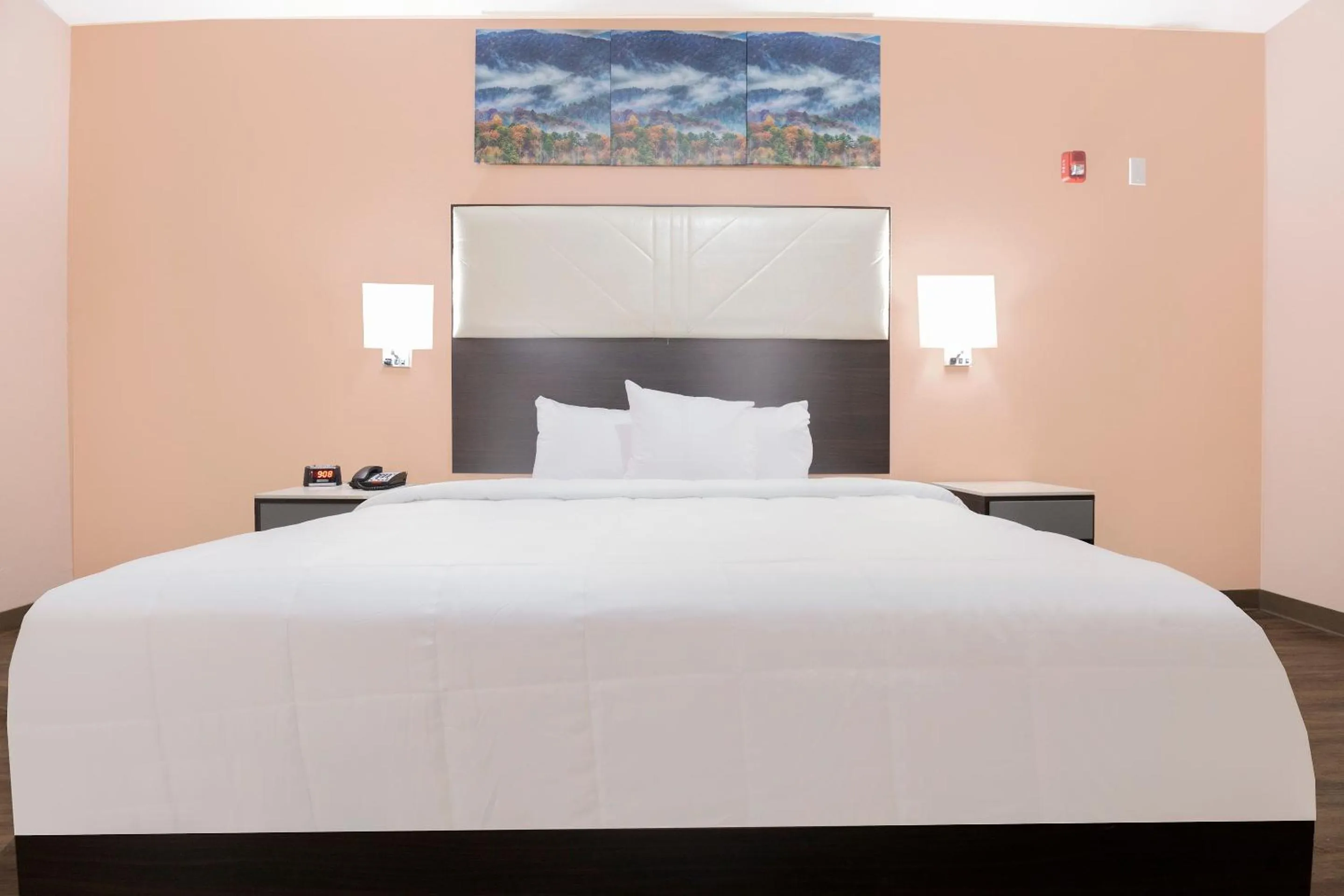 Bedroom in OYO Hotel Adairsville Calhoun South I-75