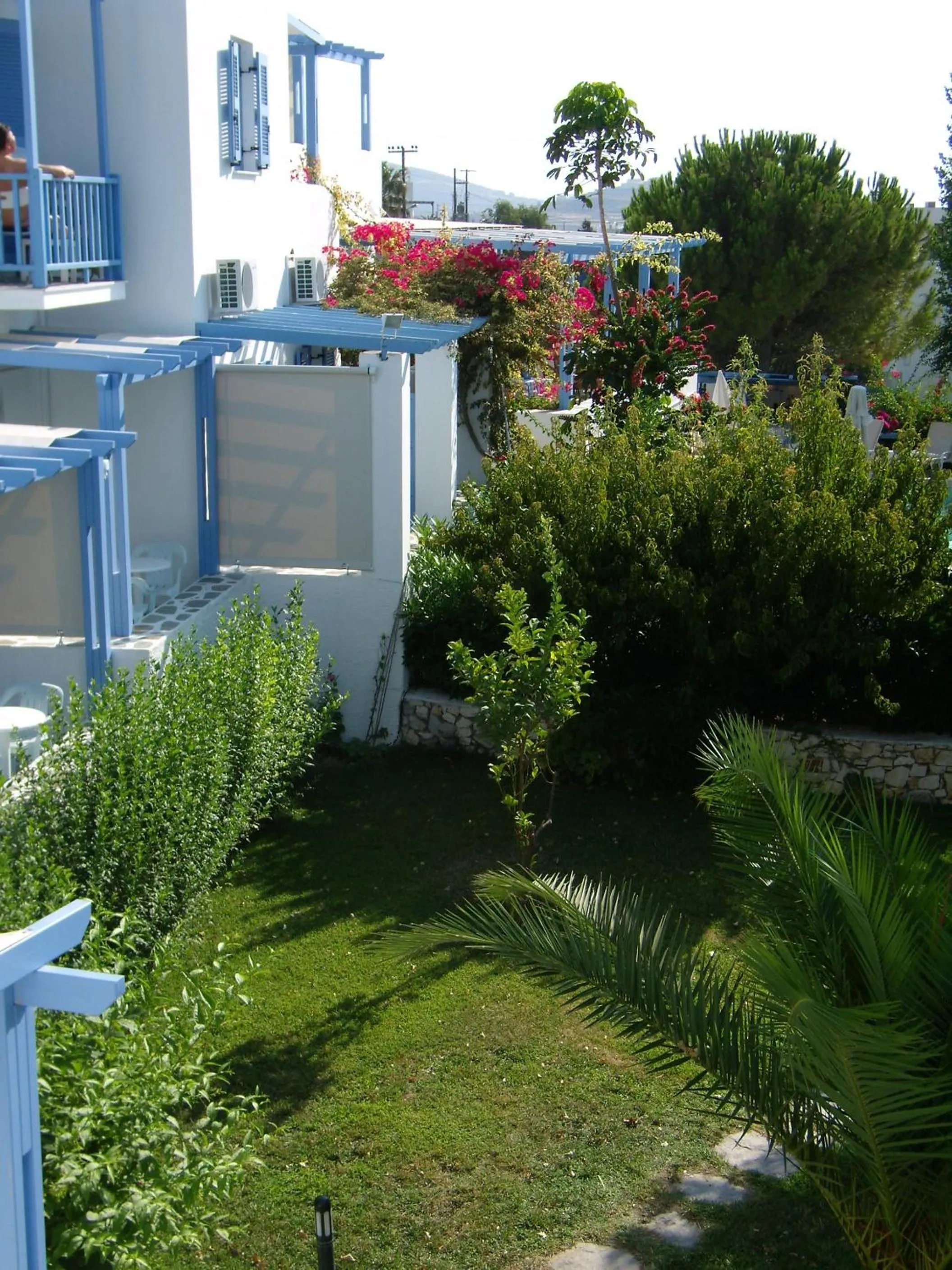Garden in Panorama Paros