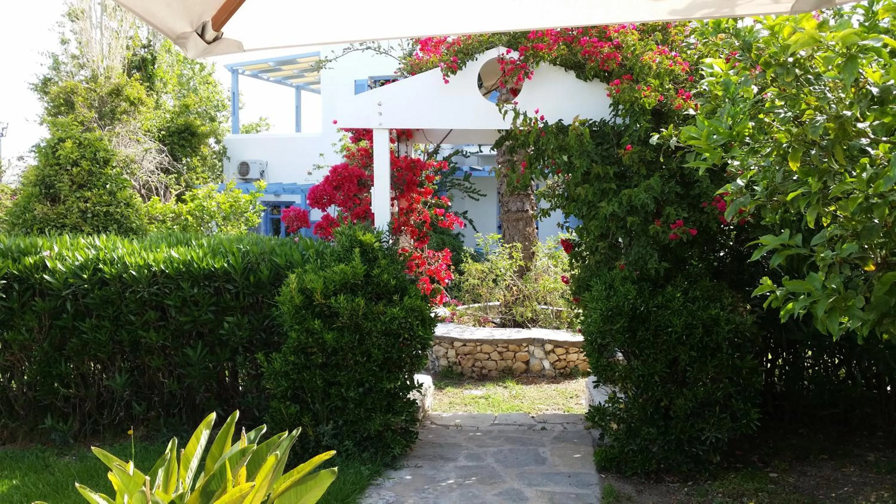 Garden in Panorama Paros