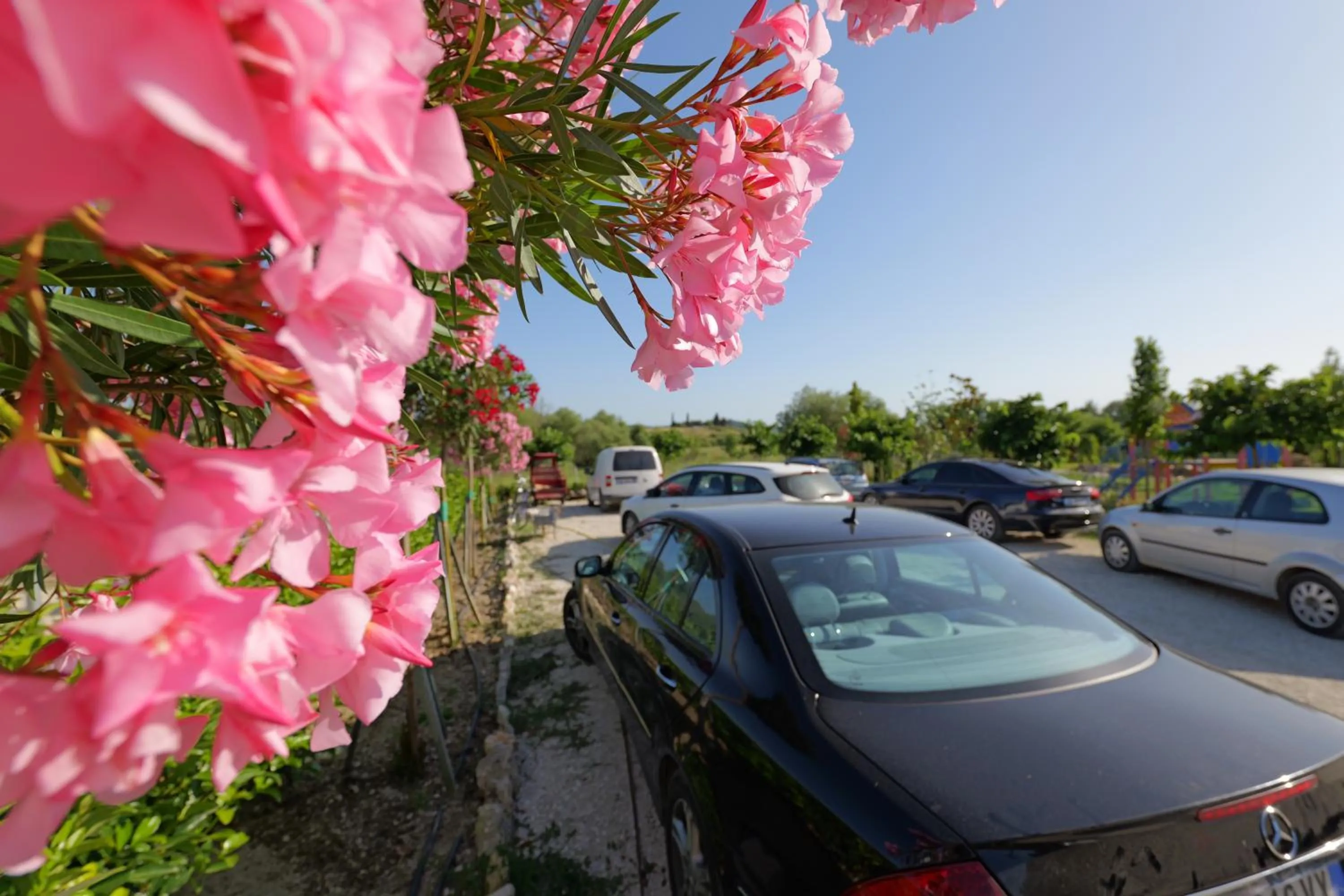 Garden in Mesopotam Agrotourism Resort