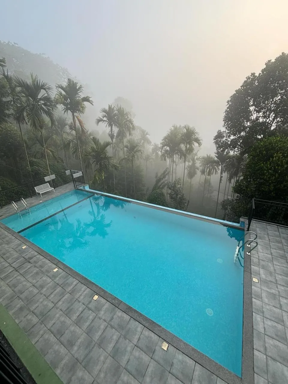 Swimming pool in Lush Hills by Benchmark